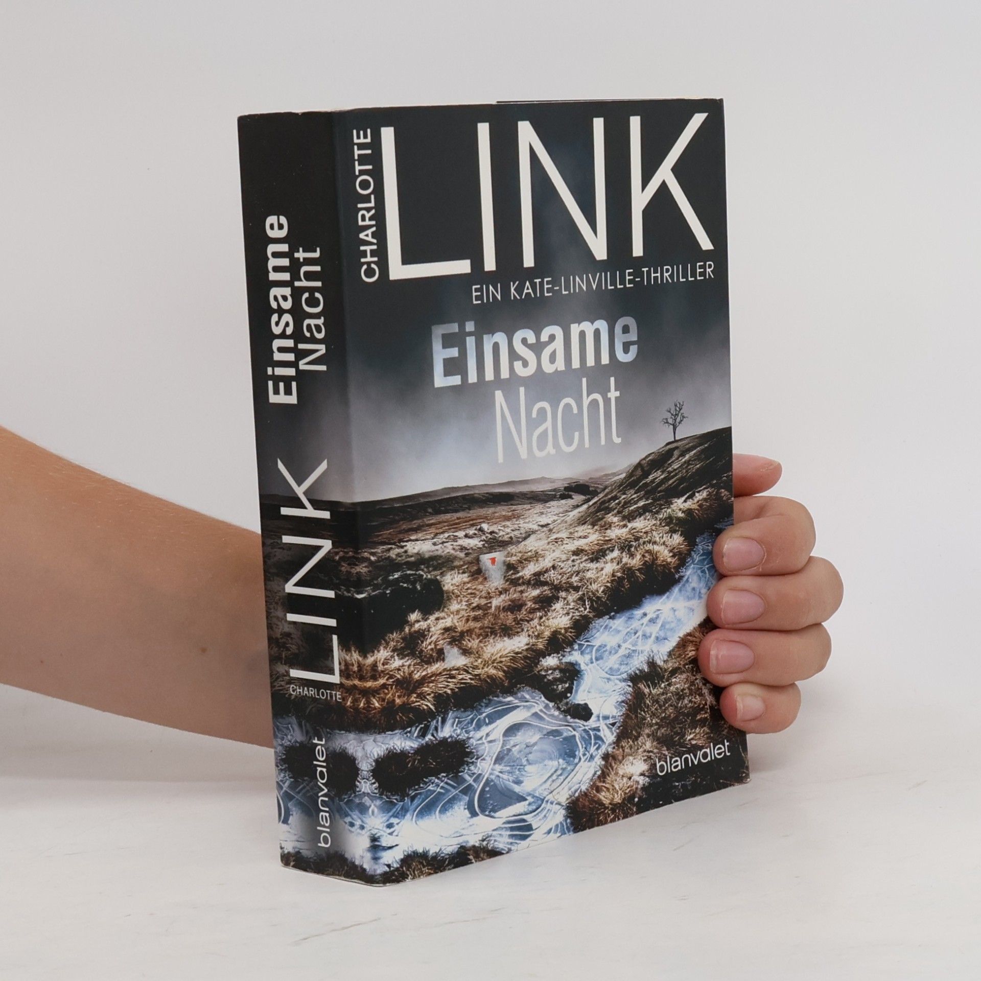 Charlotte Link Einsame Nacht