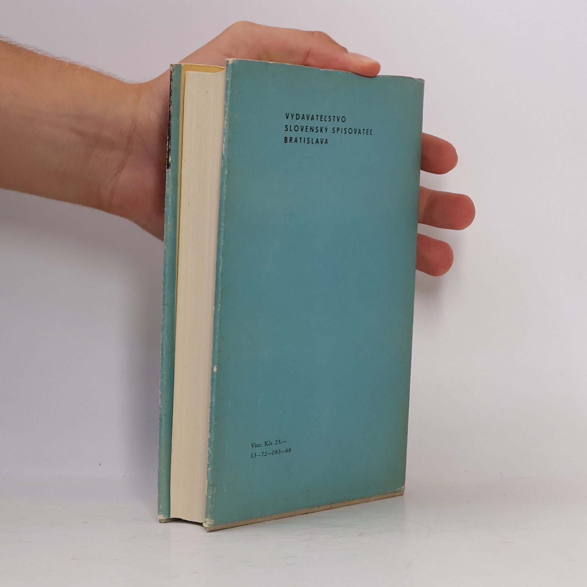 Massimo Taparelli D. Azeglio Lesk a pád Florencie