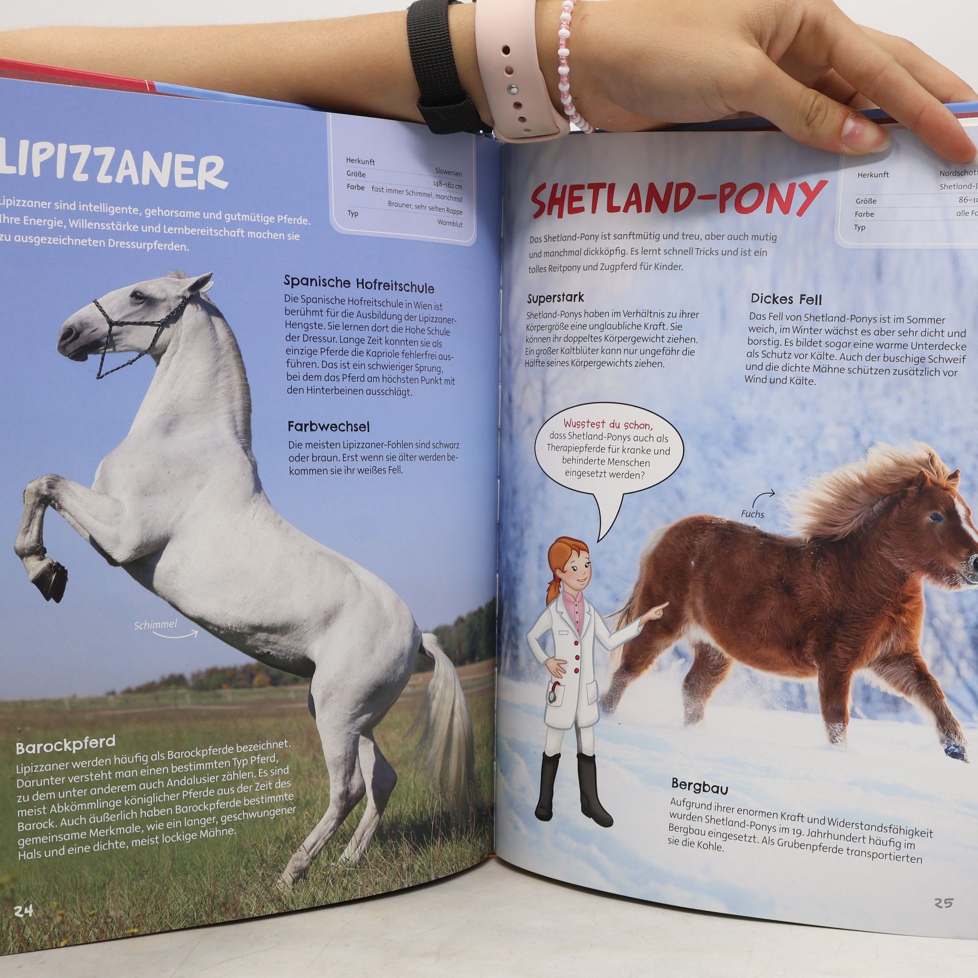 Edition XXL GmbH Auf dem Reiterhof geht´s rund - mit großem, farbigem Bauernhof-Poster