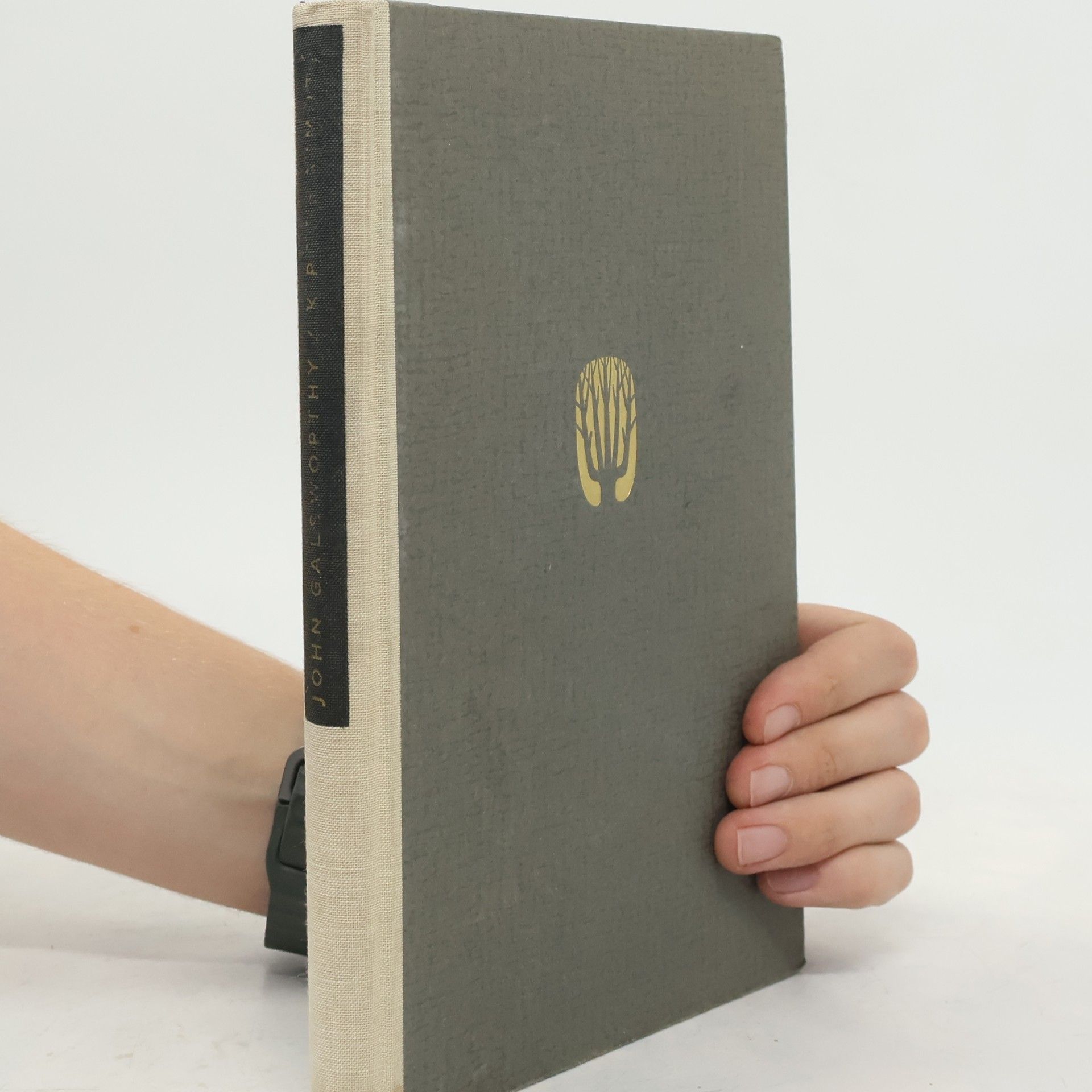 John Galsworthy K pronajmutí