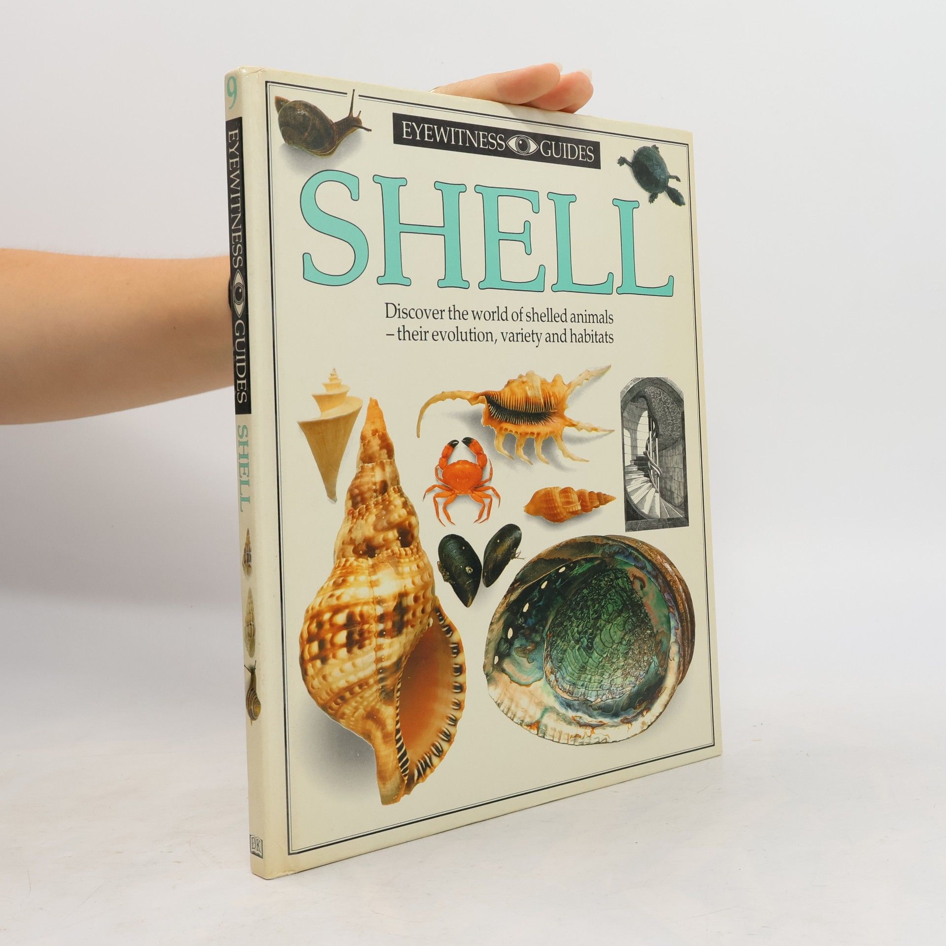 Alex Arthur Shell