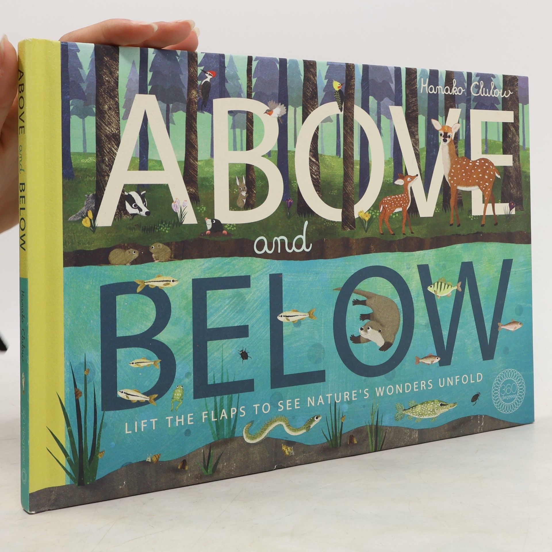 Hanako Clulow Above and Below