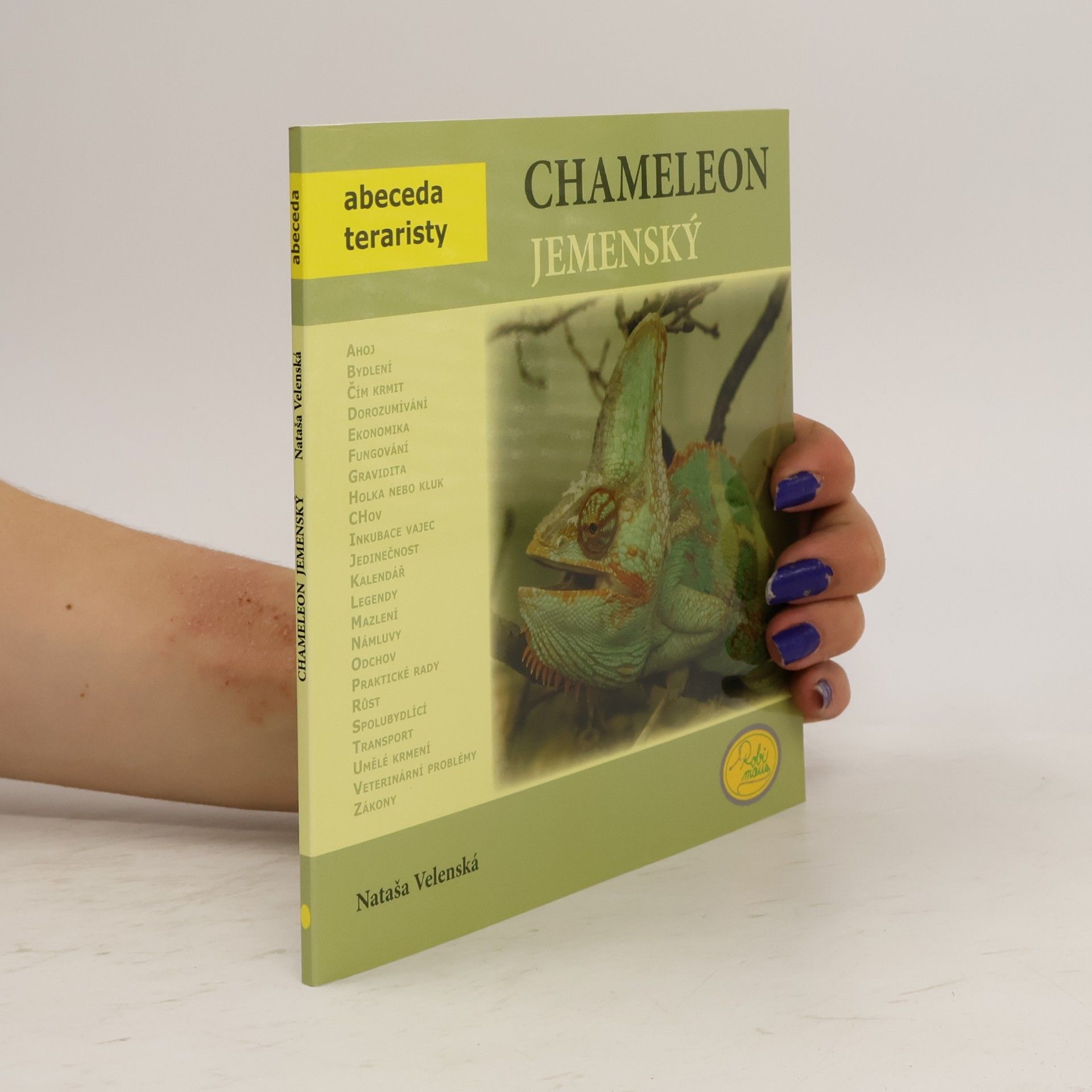 Chameleon jemenský