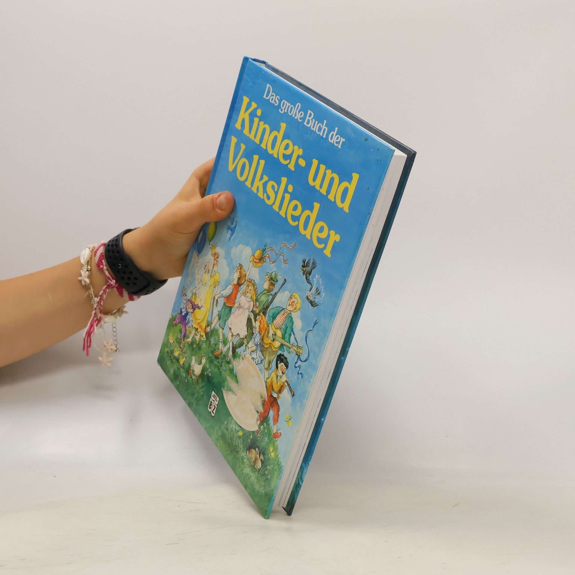 Autores varios Das große Buch der Kinder- und Volkslieder