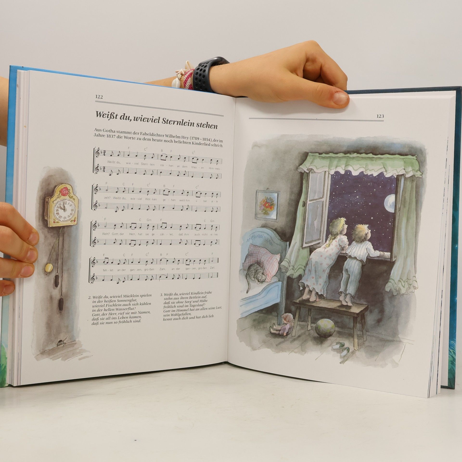 Autores varios Das große Buch der Kinder- und Volkslieder