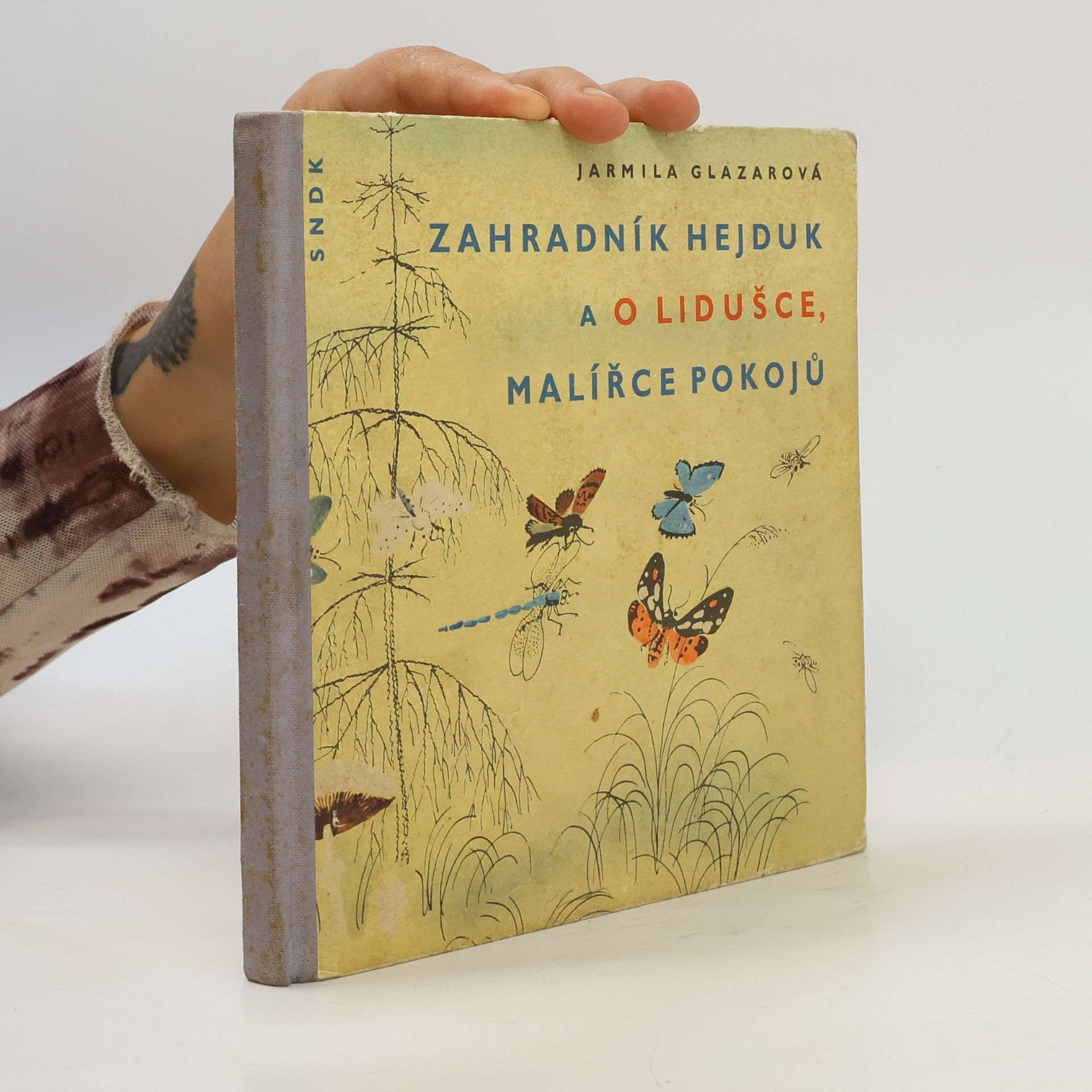 Jarmila Glazarová Zahradník Hejduk a O Lidušce, malířce pokojů