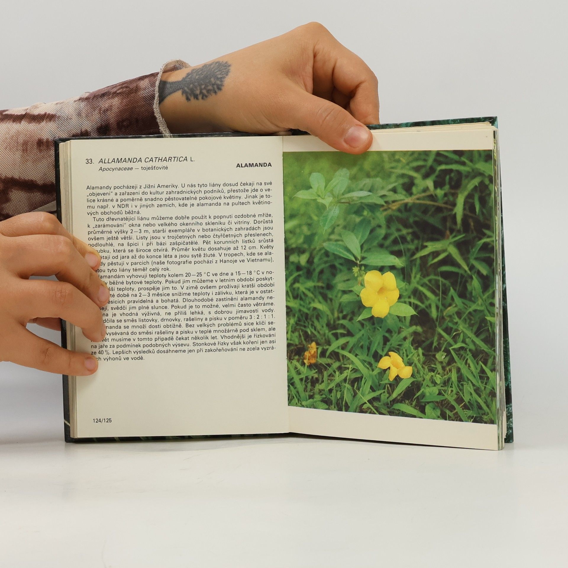 Jiří R. Haager Kapesní atlas pěstovaných exotických rostlin