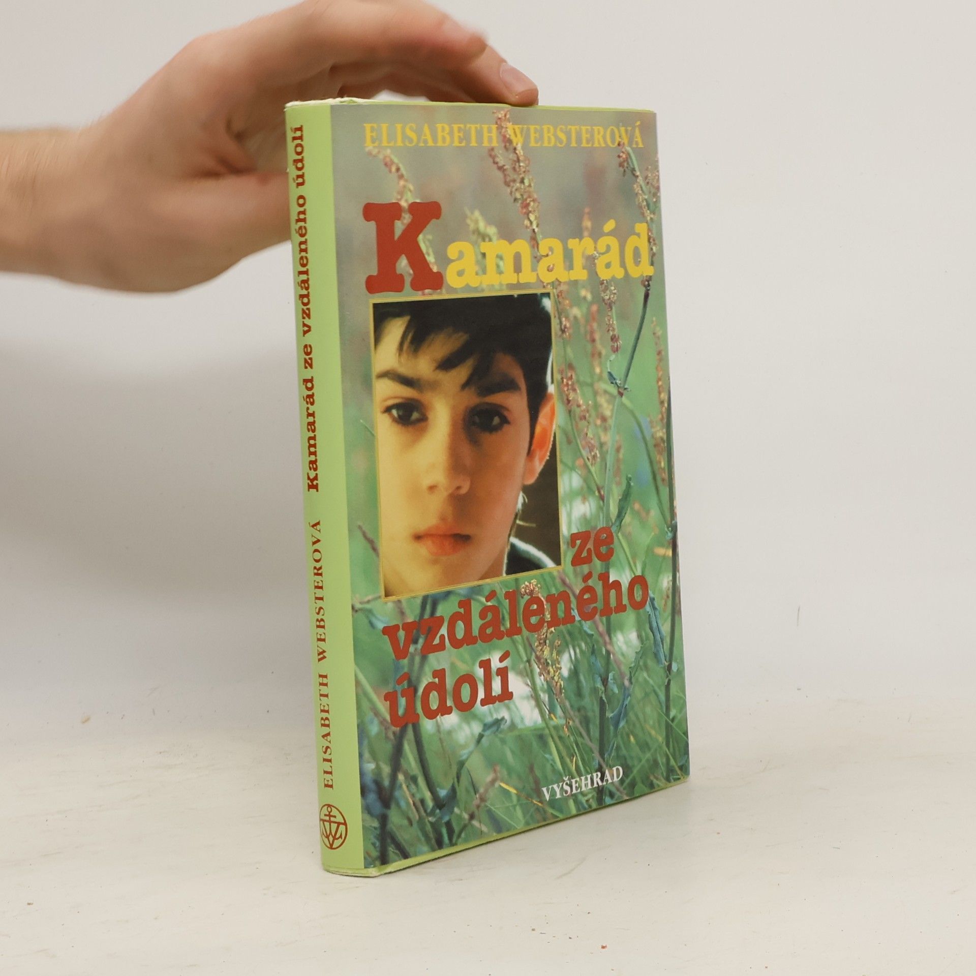 Elizabeth Webster Kamarád ze vzdáleného údolí