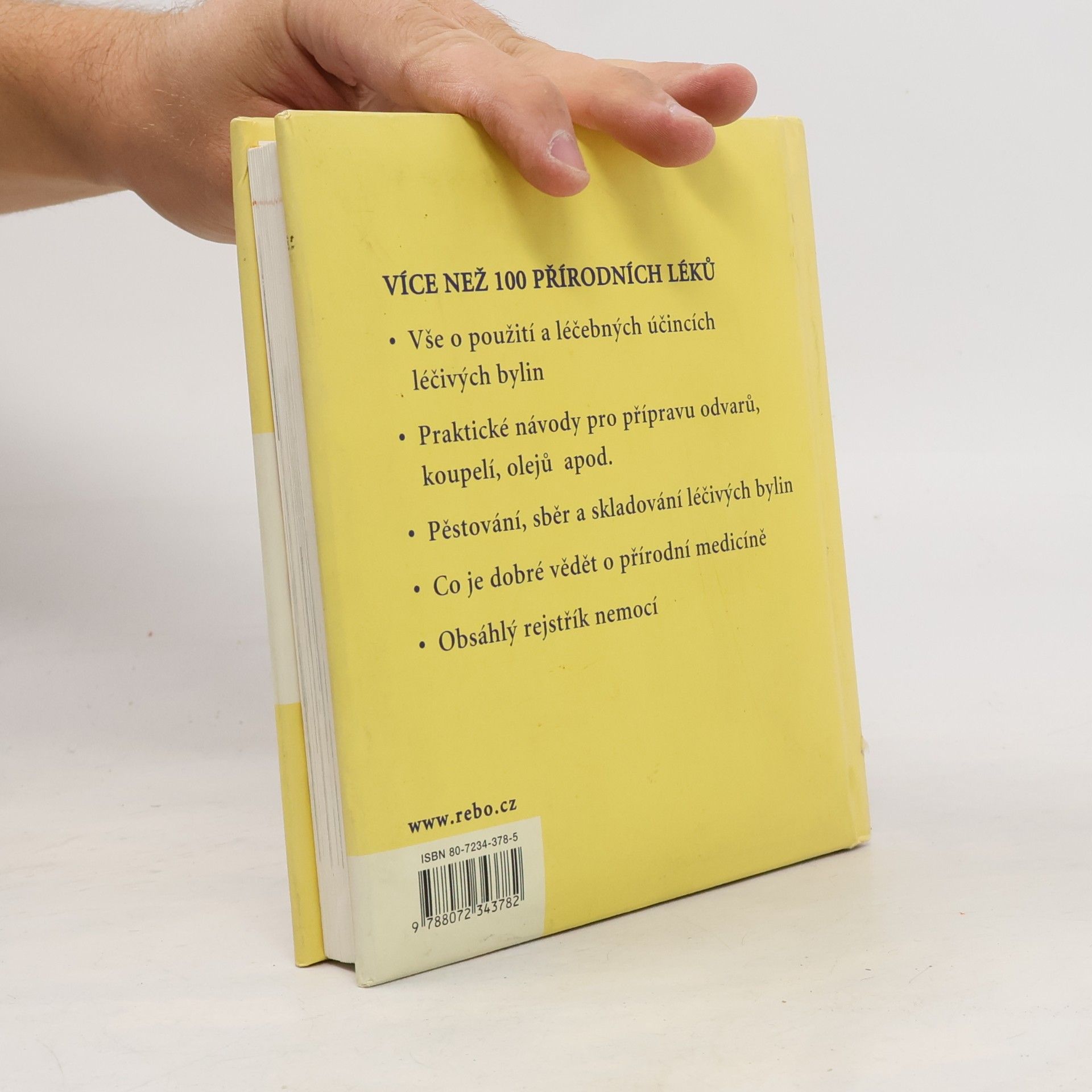 Anne Iburg Lexikon přírodní medicíny
