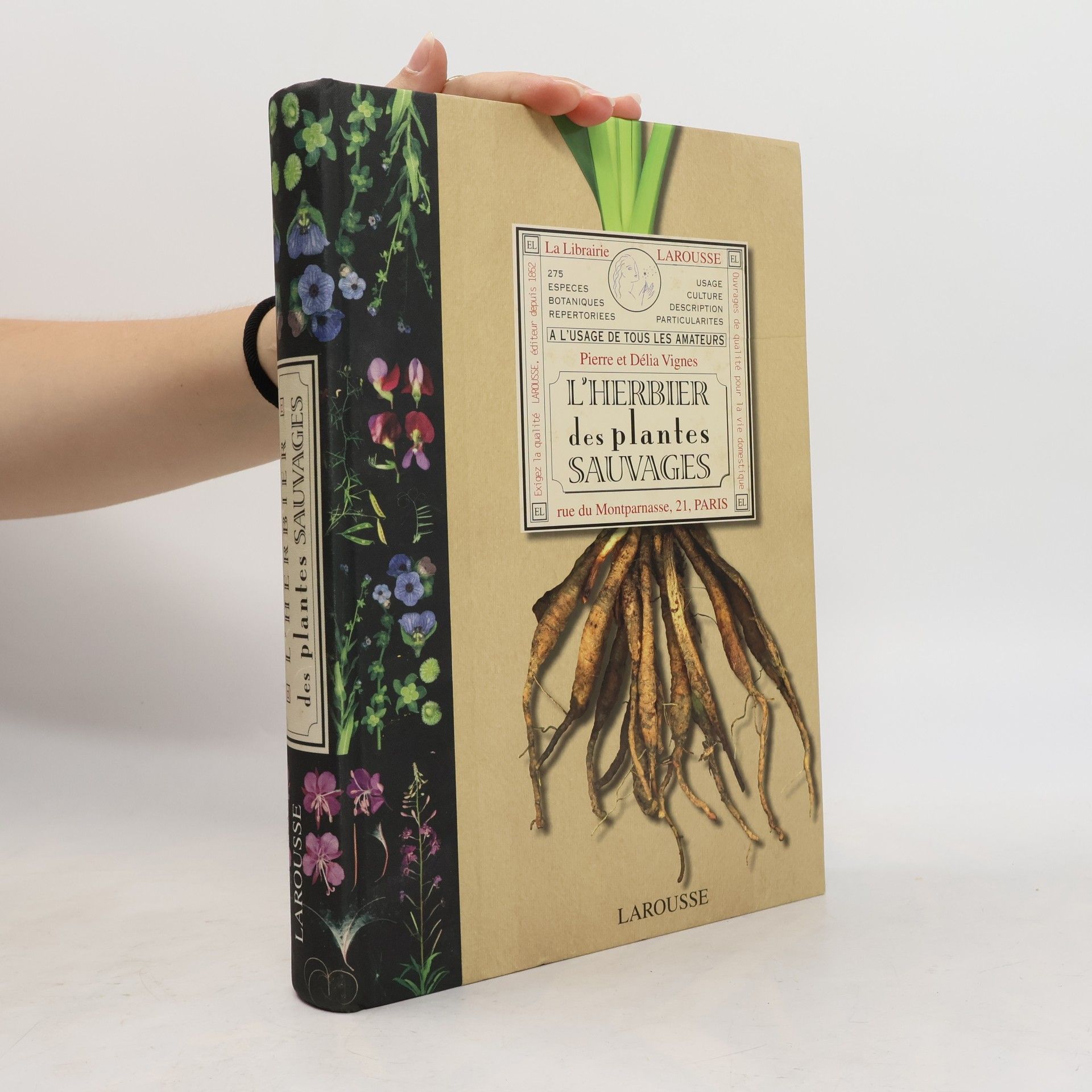 Dï¿½?LIA VIGNES PIERRE VIGNES HERBIER DES PLANTES SAUVAGES