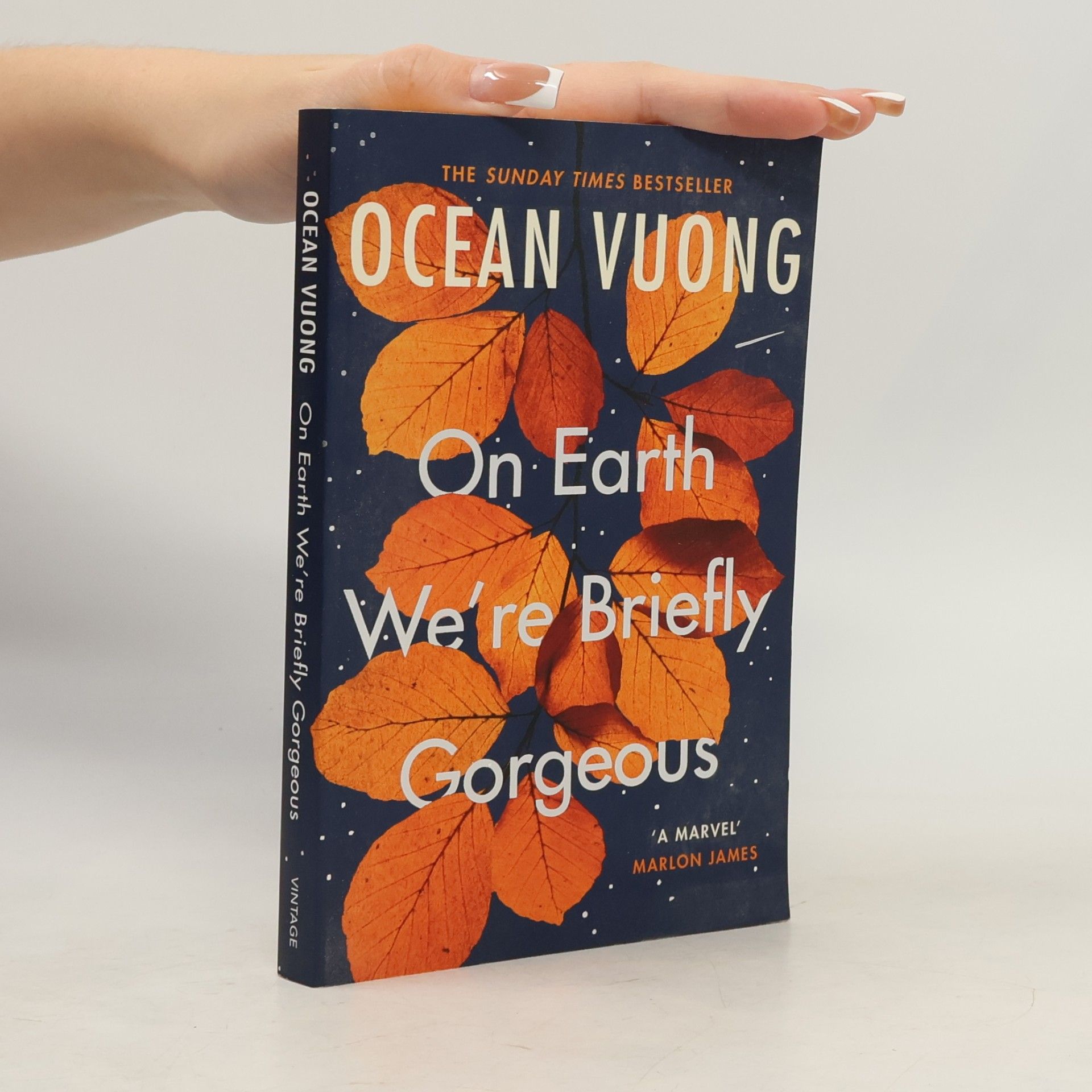 Ocean Vuong On Earth We're Briefly Gorgeous