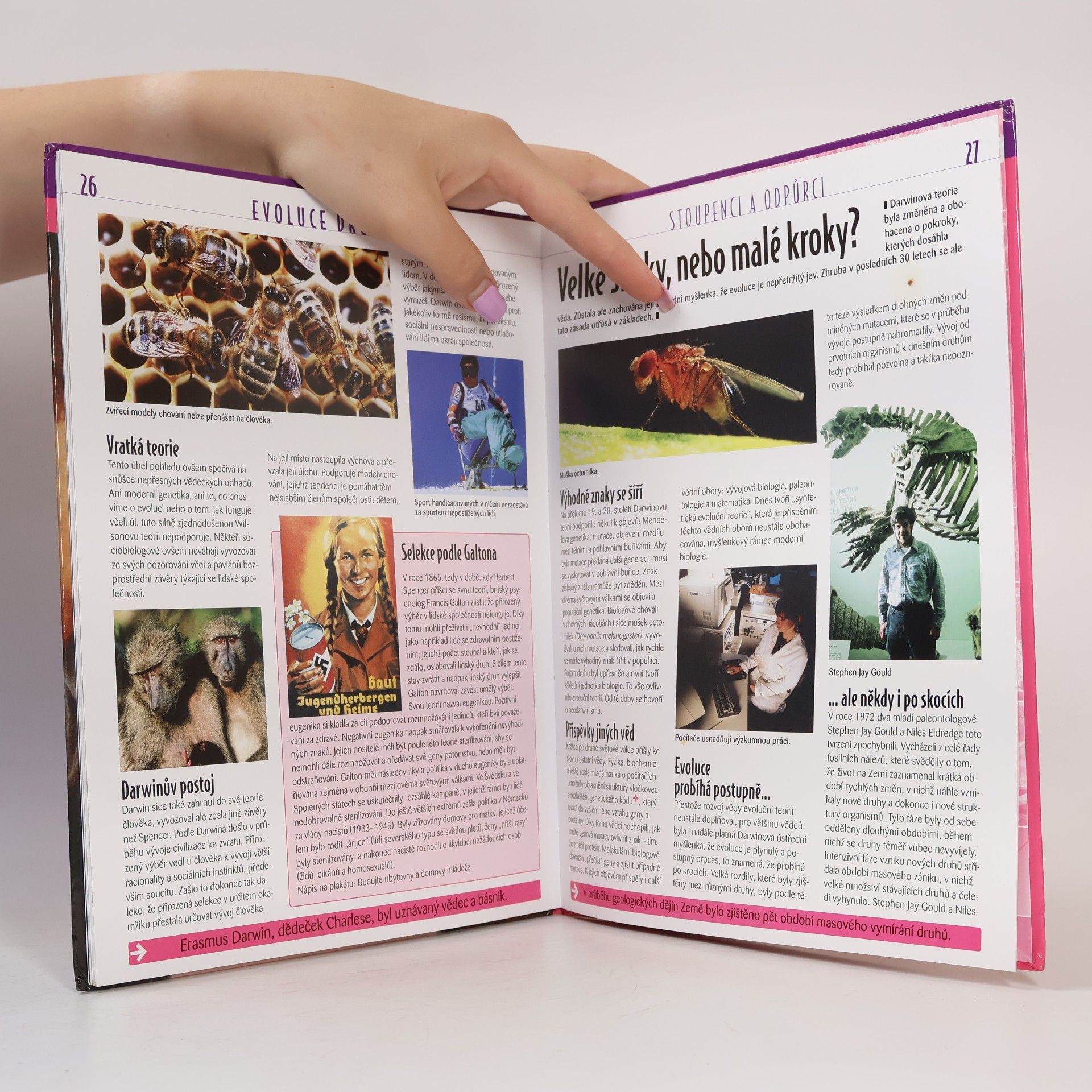 Kolektiv autorů Evoluce druhů