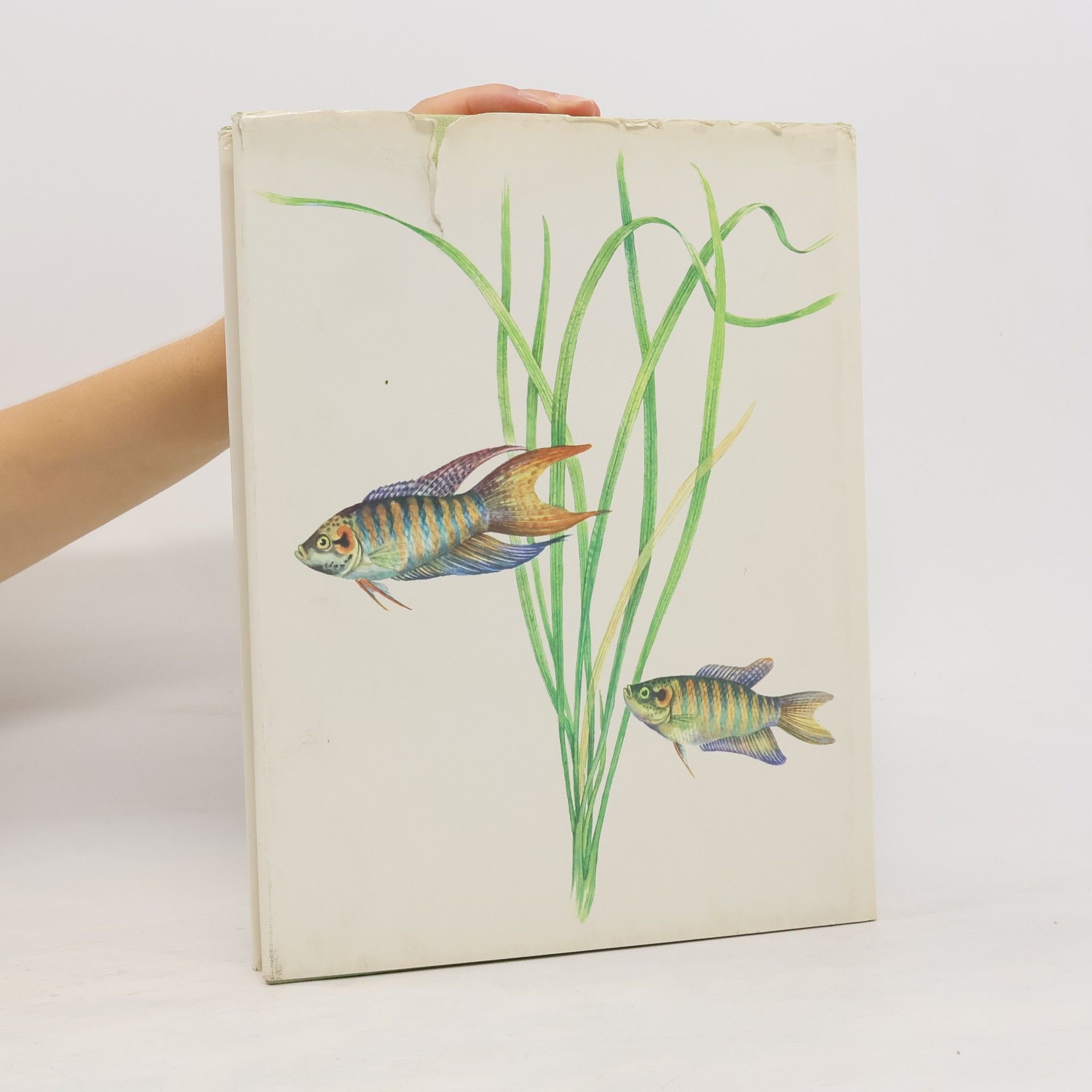 Kolektiv autorů Aquarium Fishes and Plants