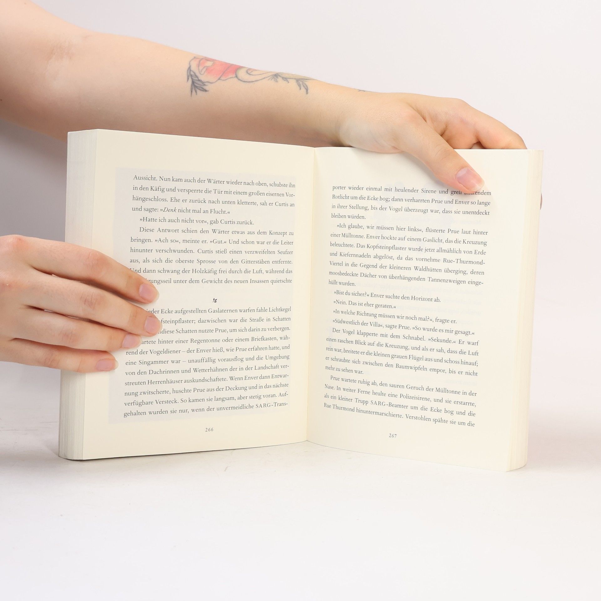 Colin Meloy Wildwood