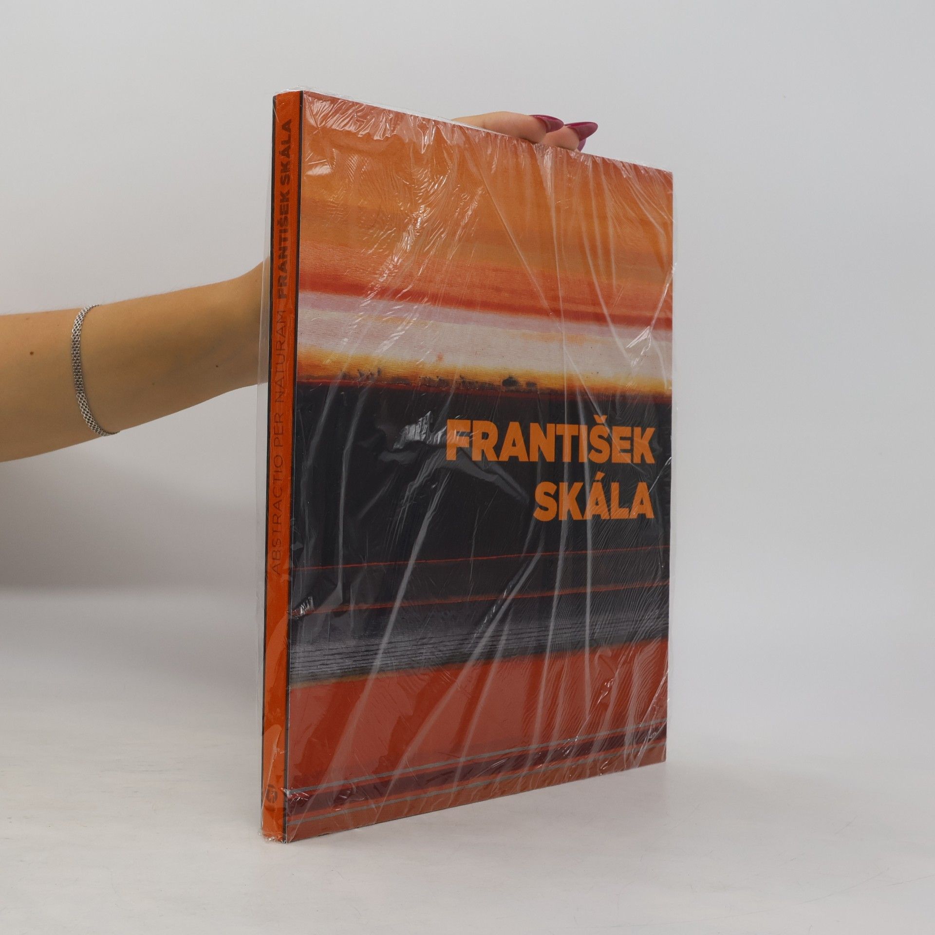 František Skála: Abstractio per naturam