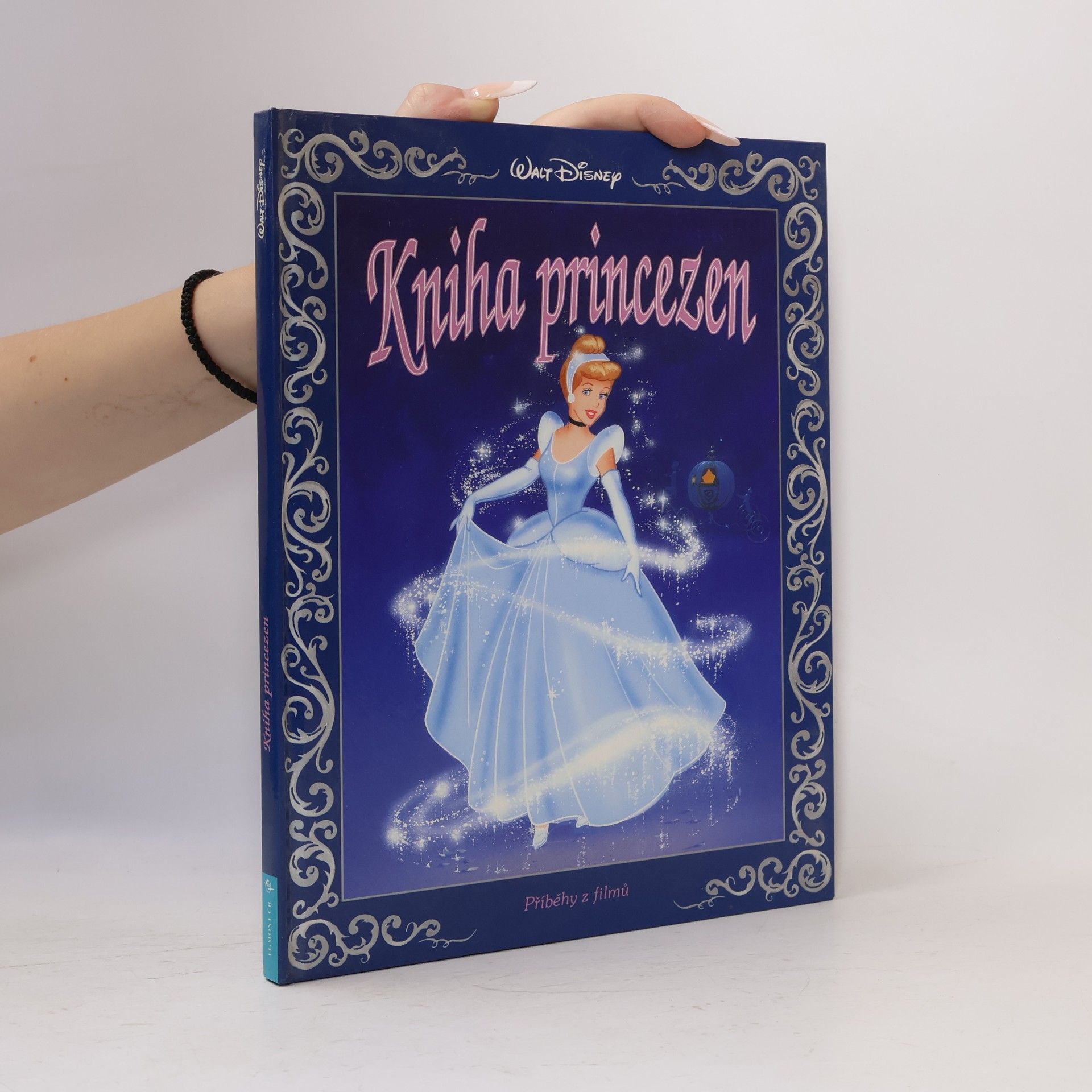 Ann Braybrooks Kniha princezen