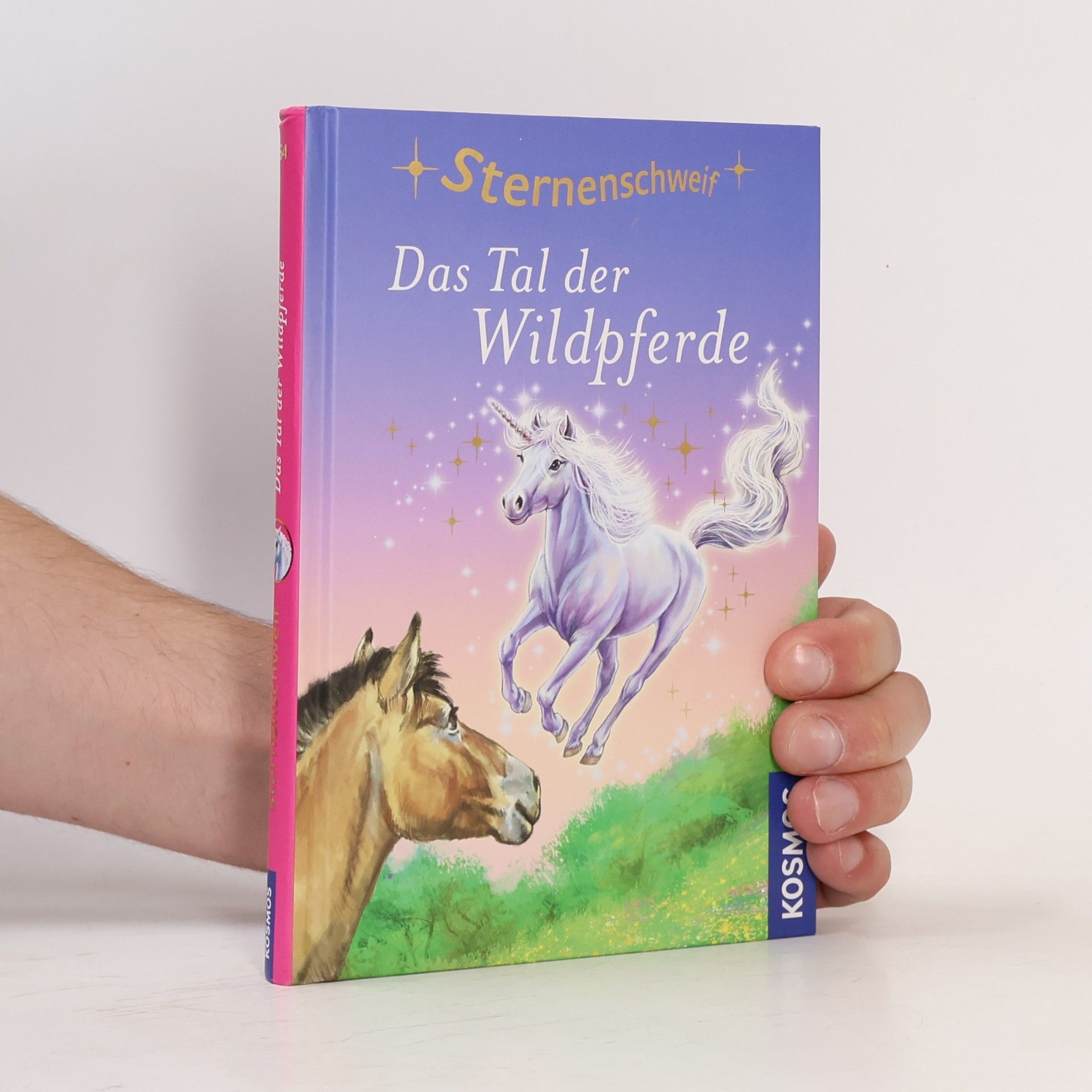 Autorenkollektiv Das Tal der Wildpferde