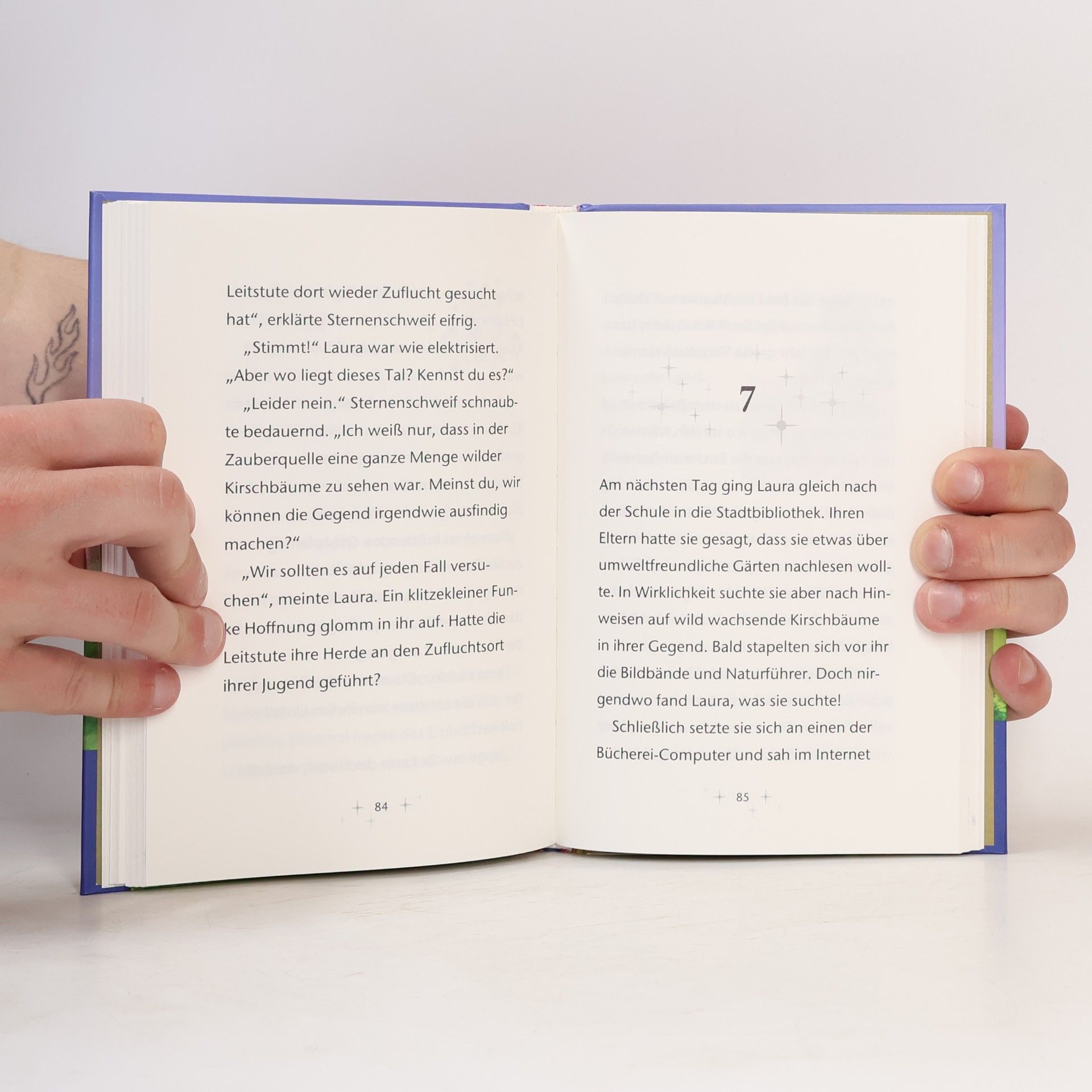Autorenkollektiv Das Tal der Wildpferde