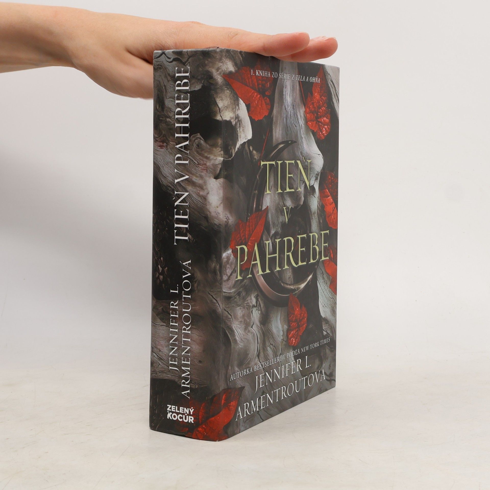 Jennifer Armentrout Tieň v pahrebe