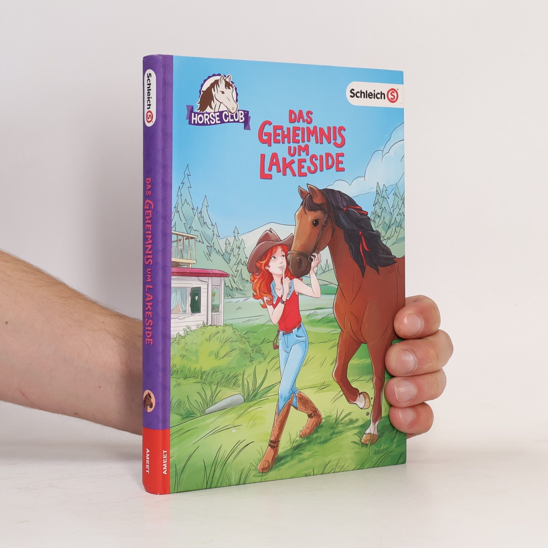 Emma Walden Horse Club - das Geheimnis um Lakeside