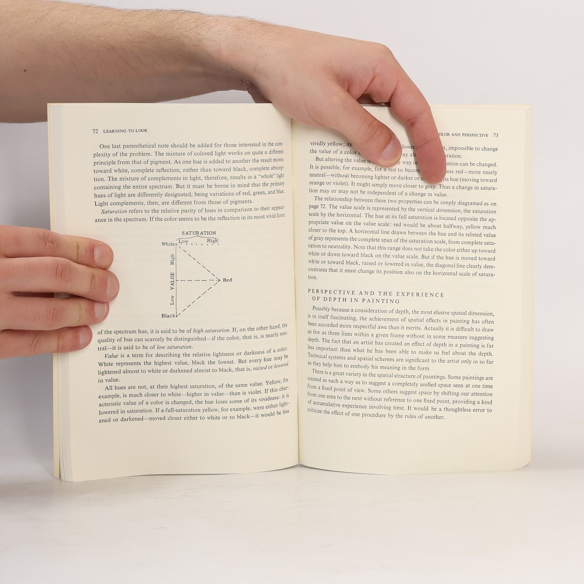 Joshua Charles Taylor Learning to Look. A Handbook for the Visual Arts