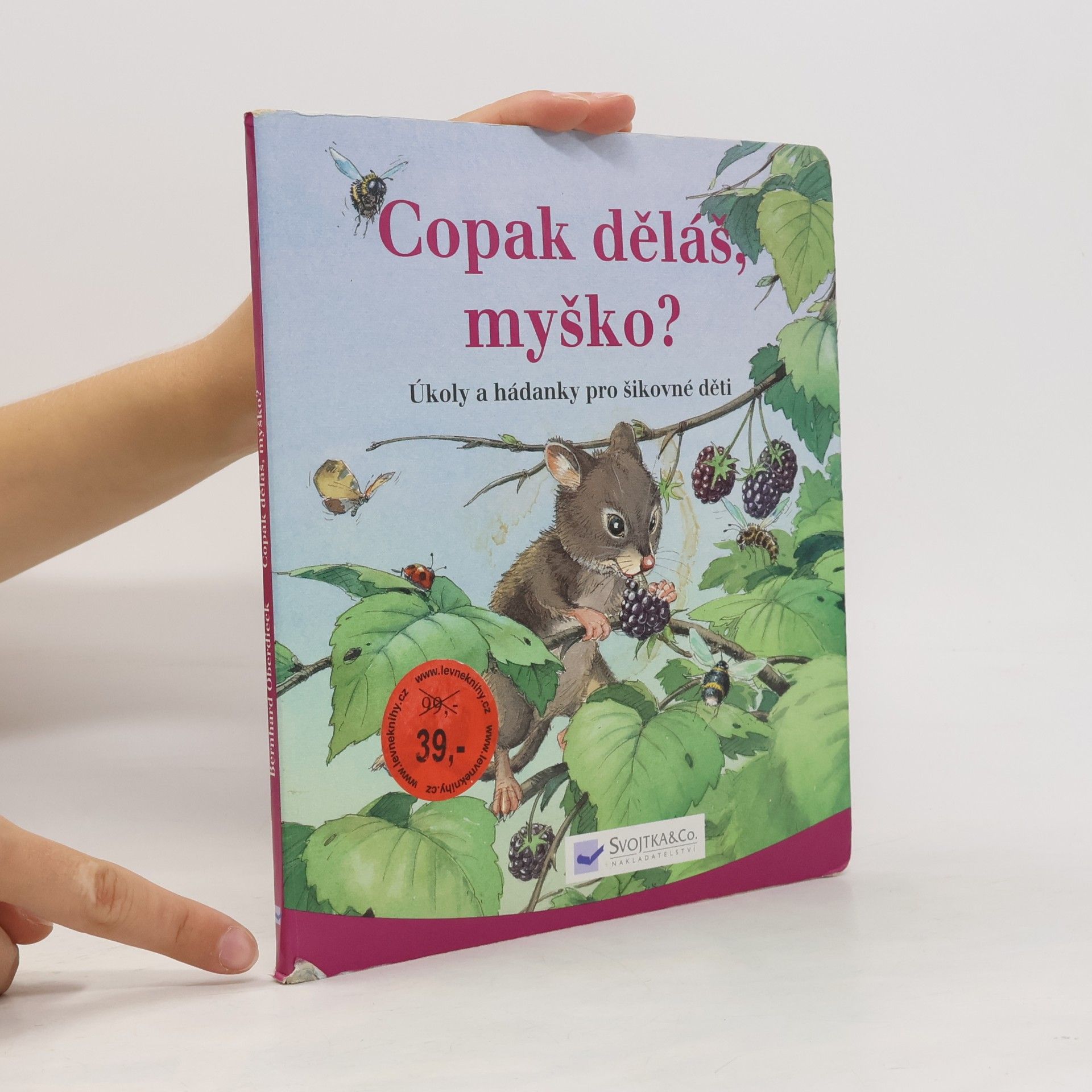 Kolektiv autorů Copak děláš, myško?