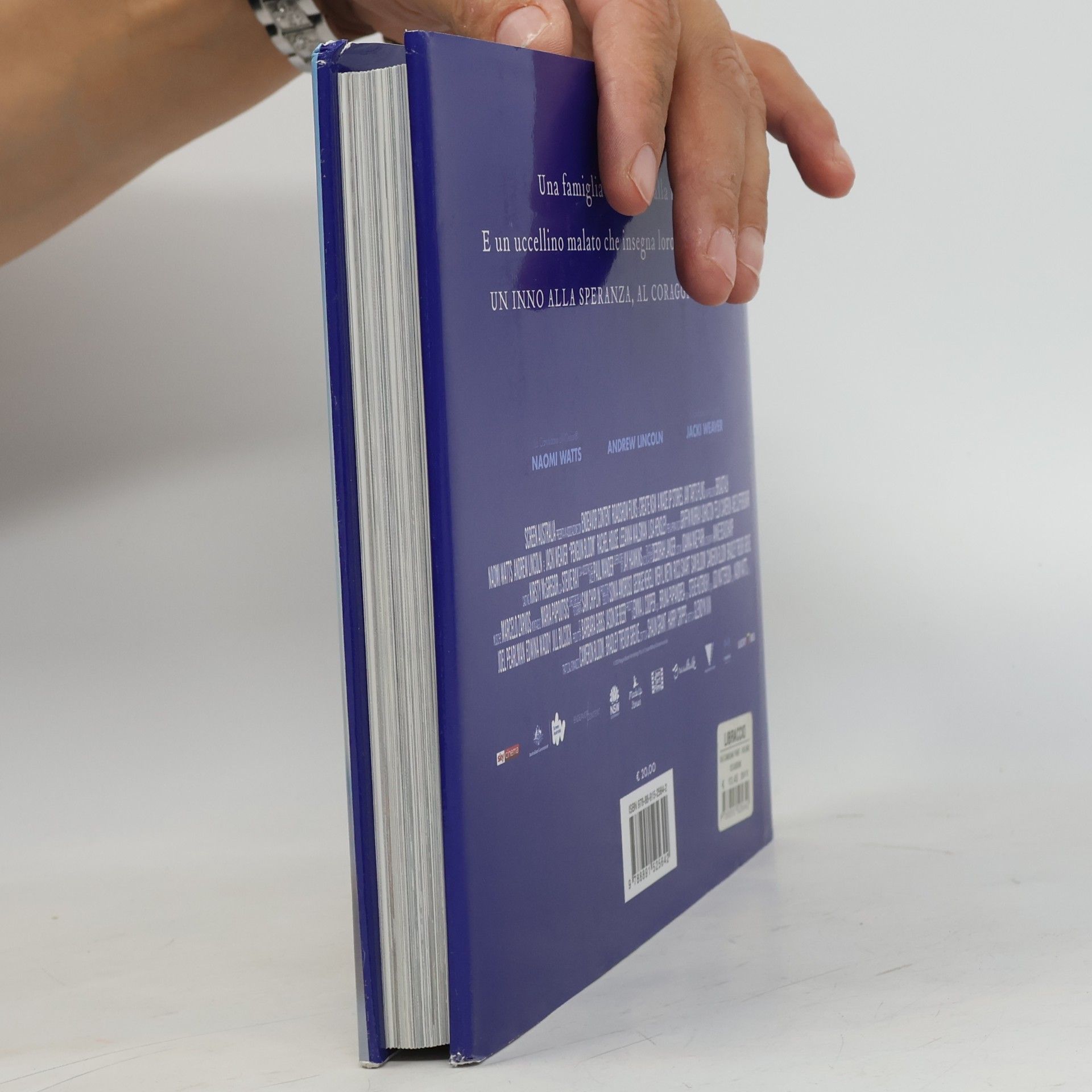 Cameron Bloom Penguin Bloom. L'Uccellino che salvò la nostra famiglia. Ediz. illustrata