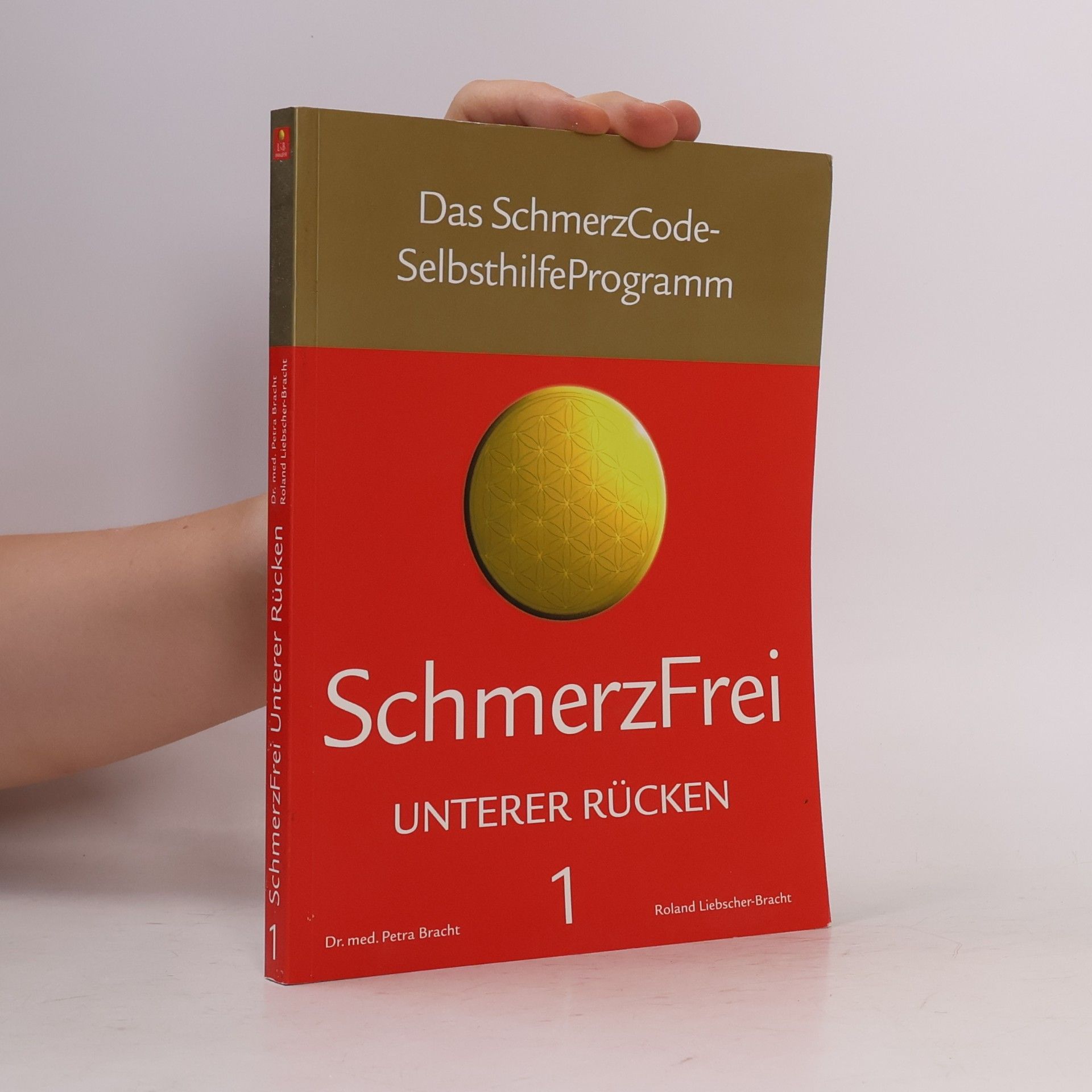 Petra Bracht SchmerzFrei