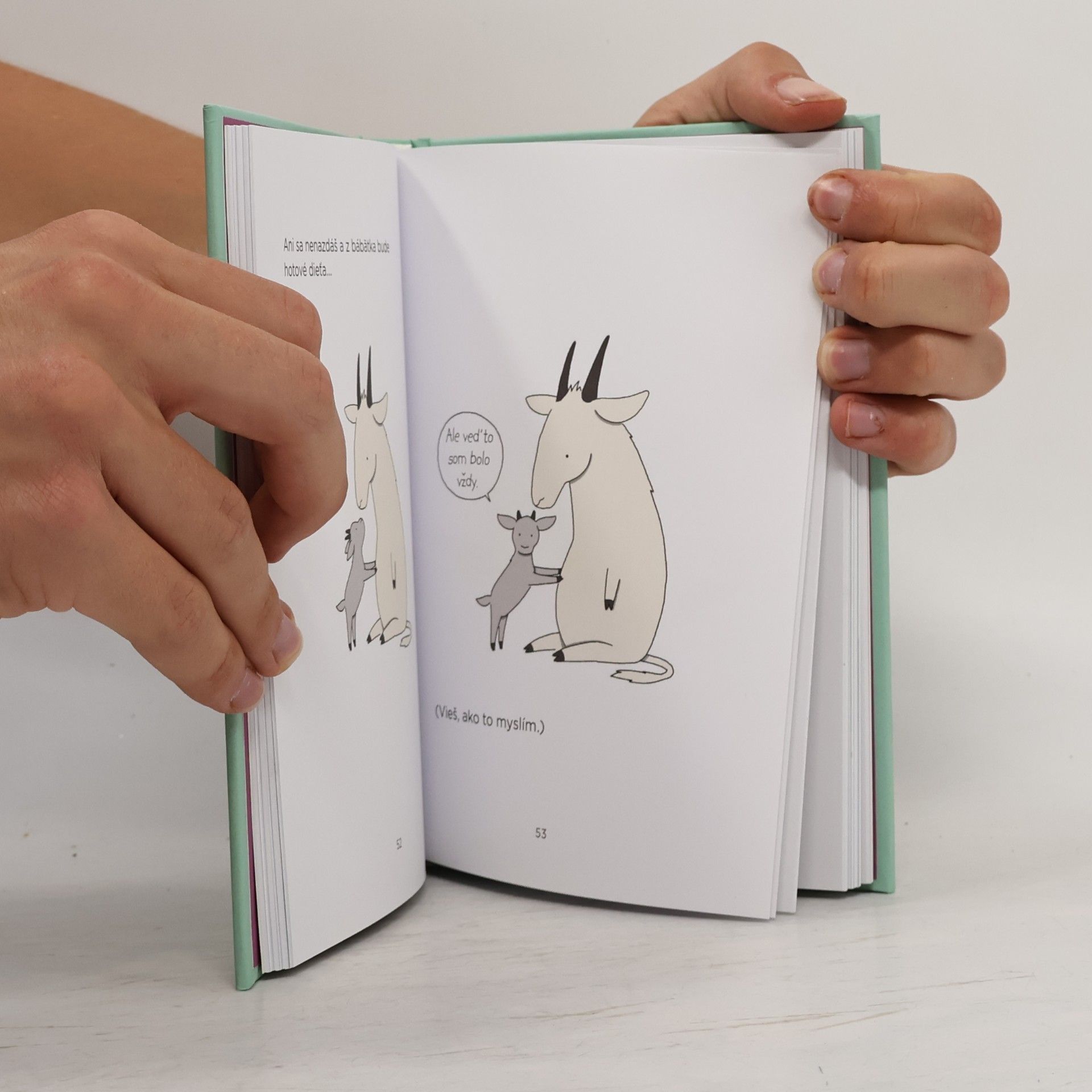 Liz Climo Knižka pre mamy (a tých, ktorí ich l'úbia)