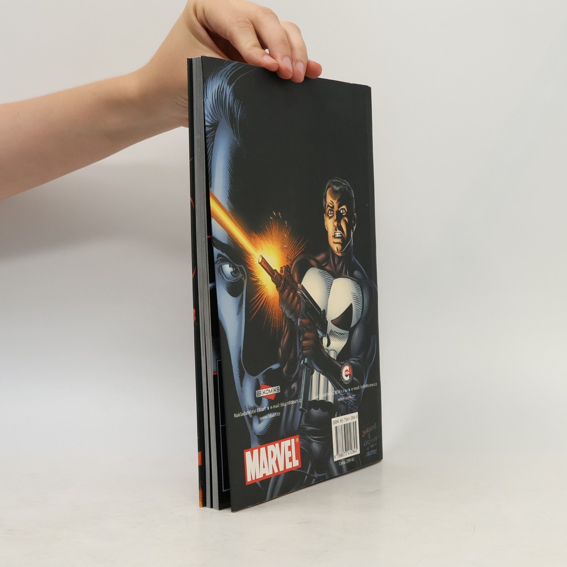 Garth Ennis The Punisher 1