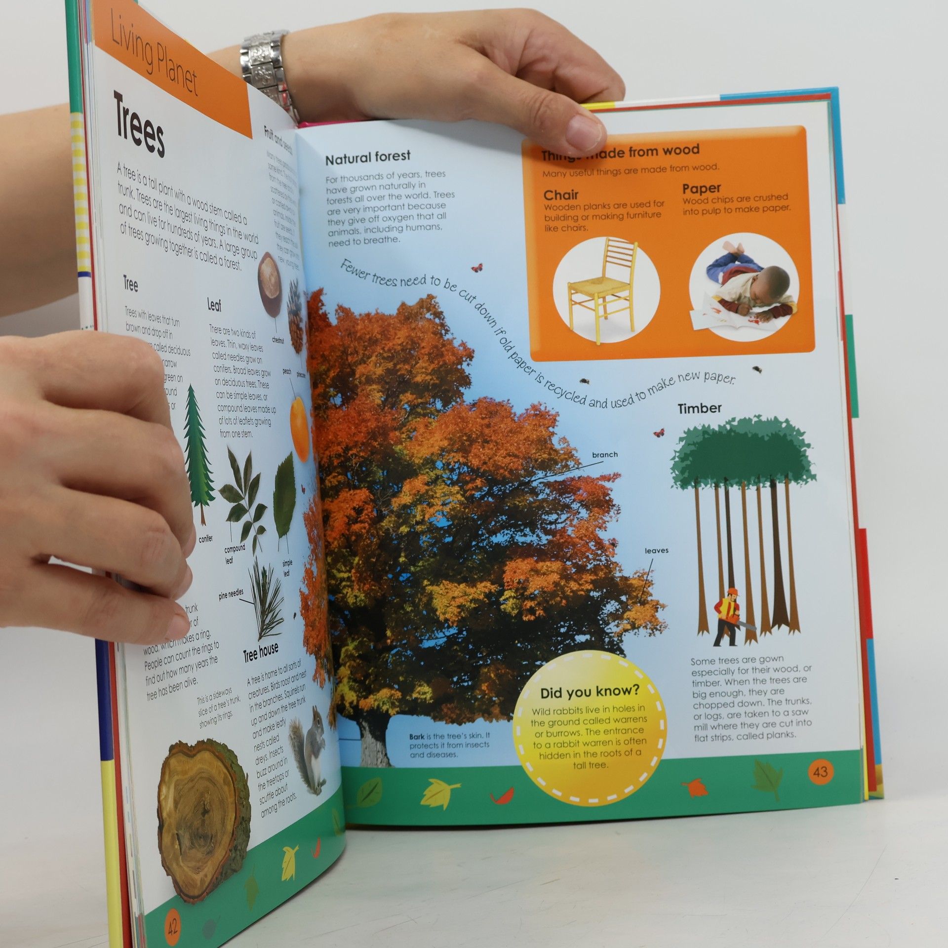 Dorling Kindersley My First Encyclopedia