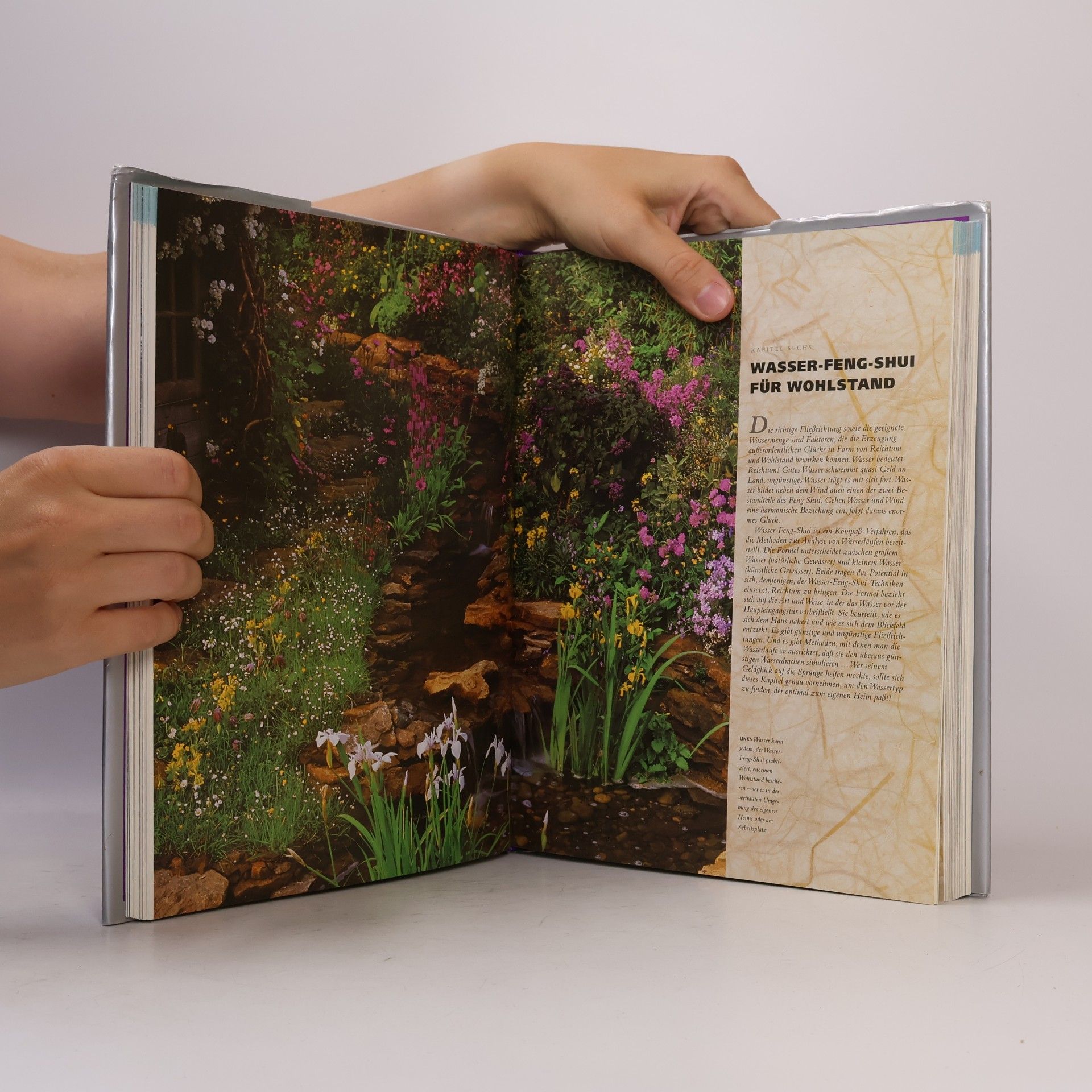 Lillian Too Das grosse Buch Feng Shui