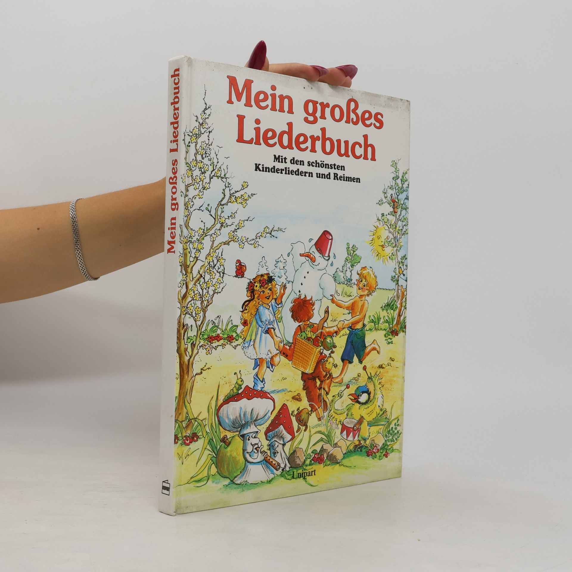 Autorenkollektiv Mein großes Liederbuch