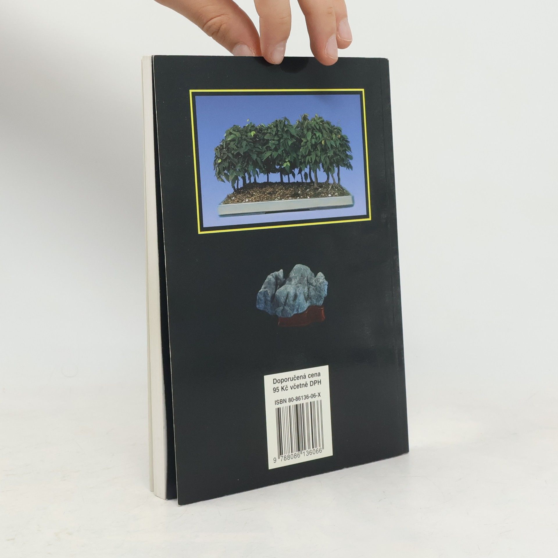 Karel Jan Štolc Bonsai