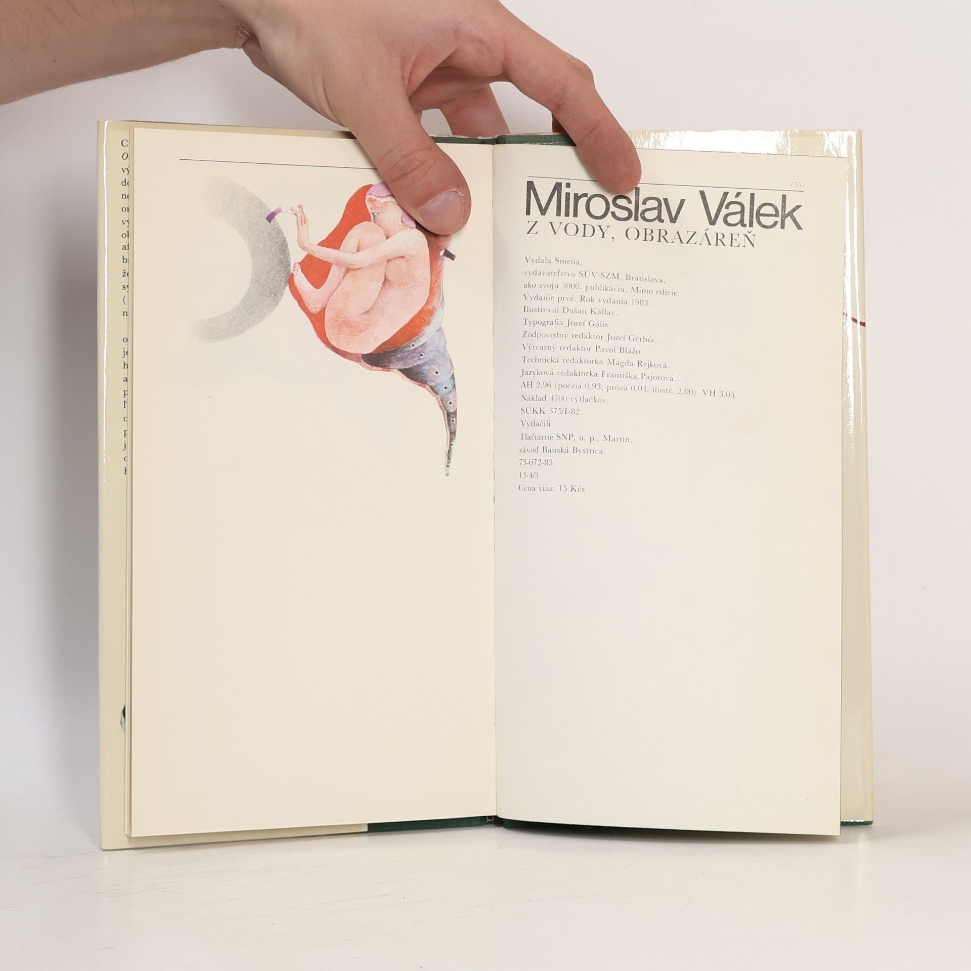 Miroslav Válek Z vody, obrazáreň