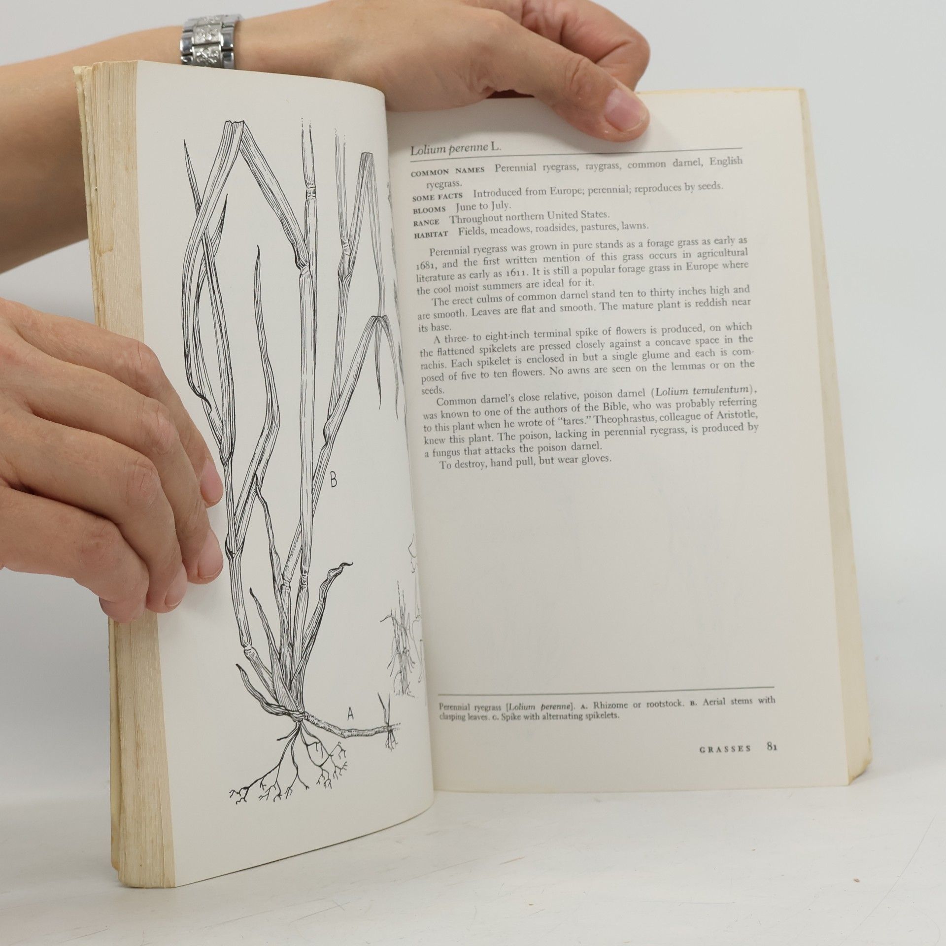 Lawrence J. Crockett Wildly Successful Plants