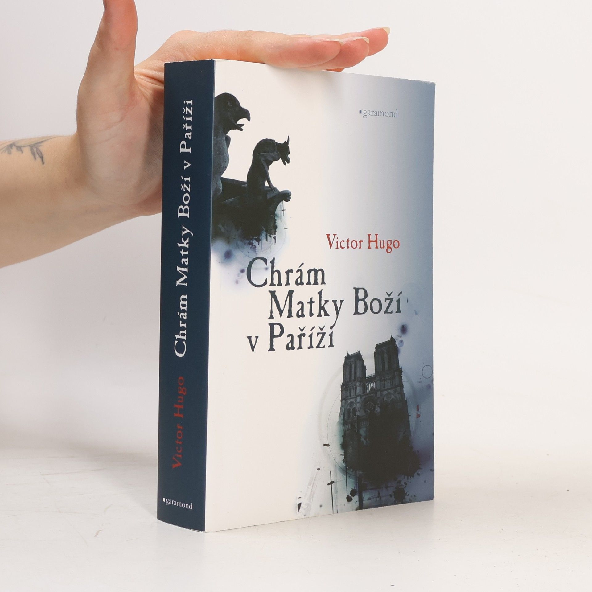 Victor Hugo Chrám Matky Boží v Paříži