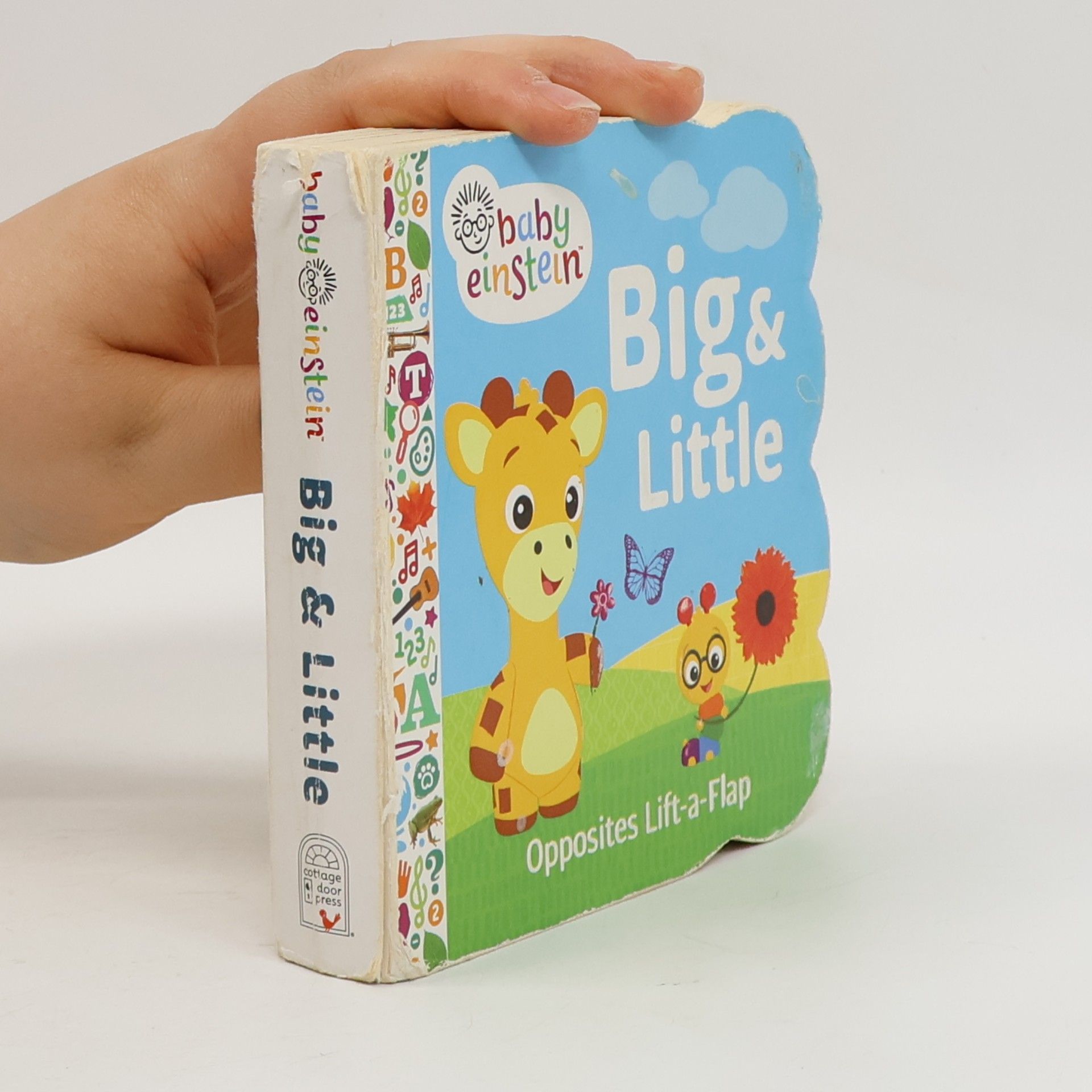 Baby Einstein: Big and Little