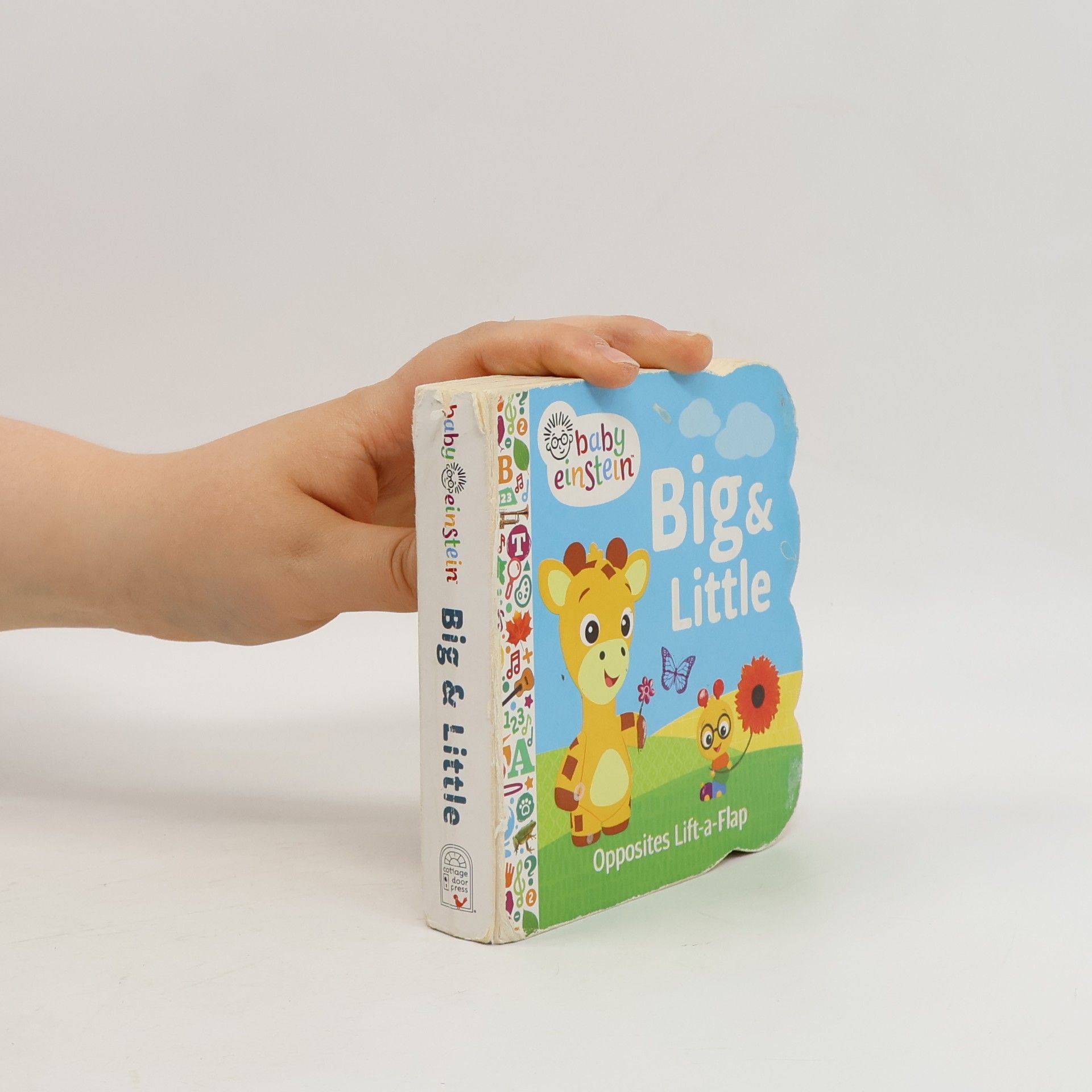 Dan Crisp Baby Einstein: Big and Little