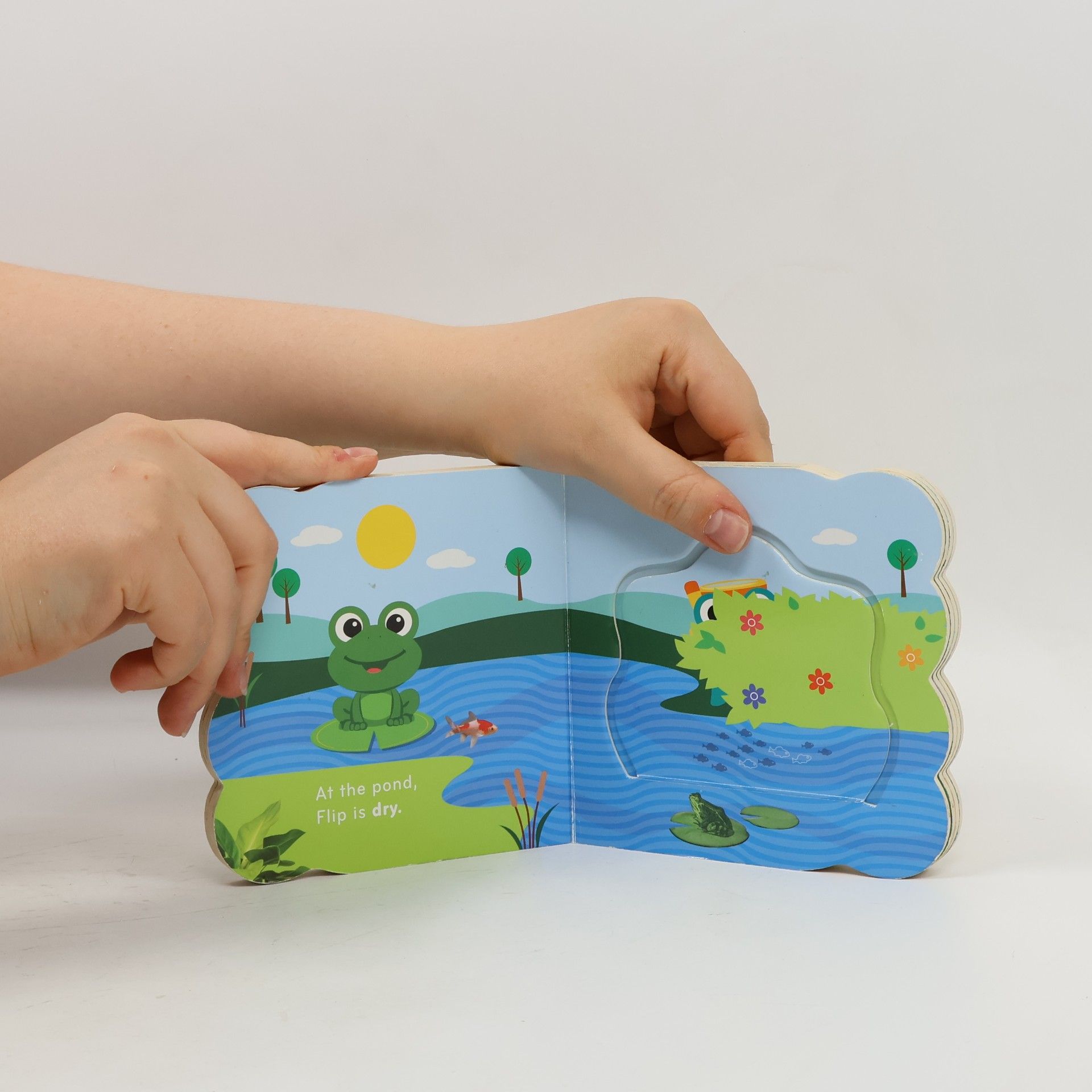 Dan Crisp Baby Einstein: Big and Little