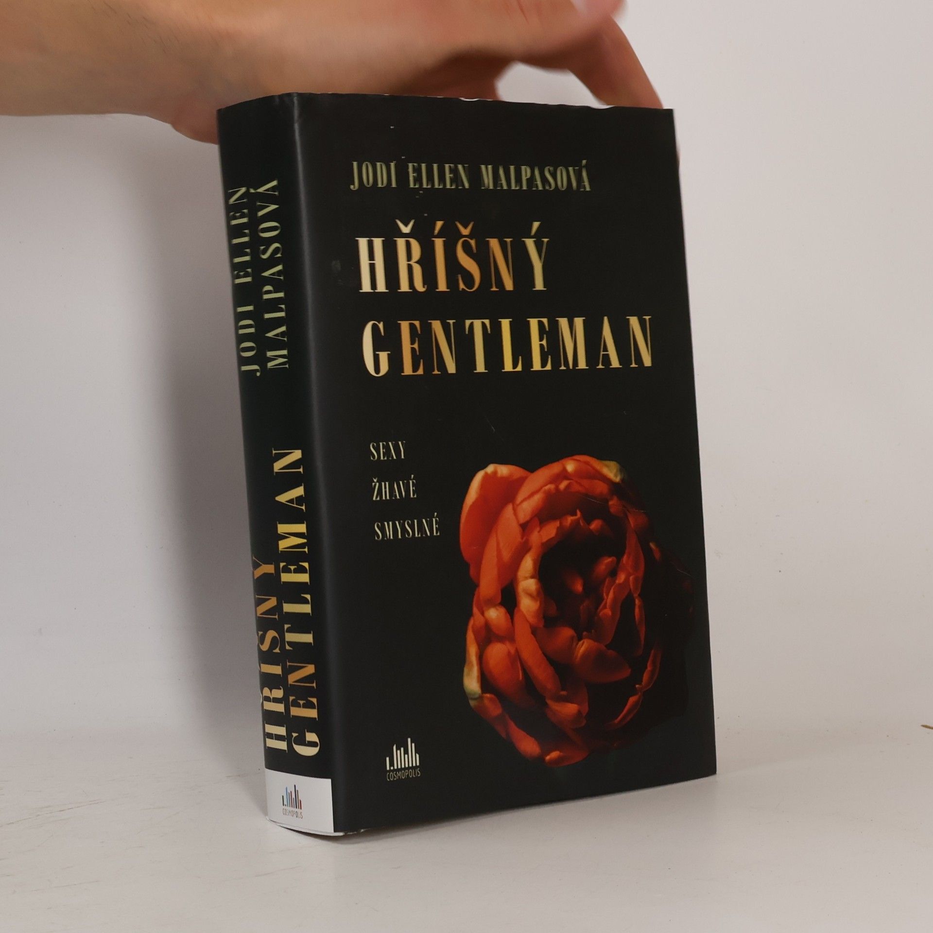Jodi Ellen Malpas Hříšný gentleman