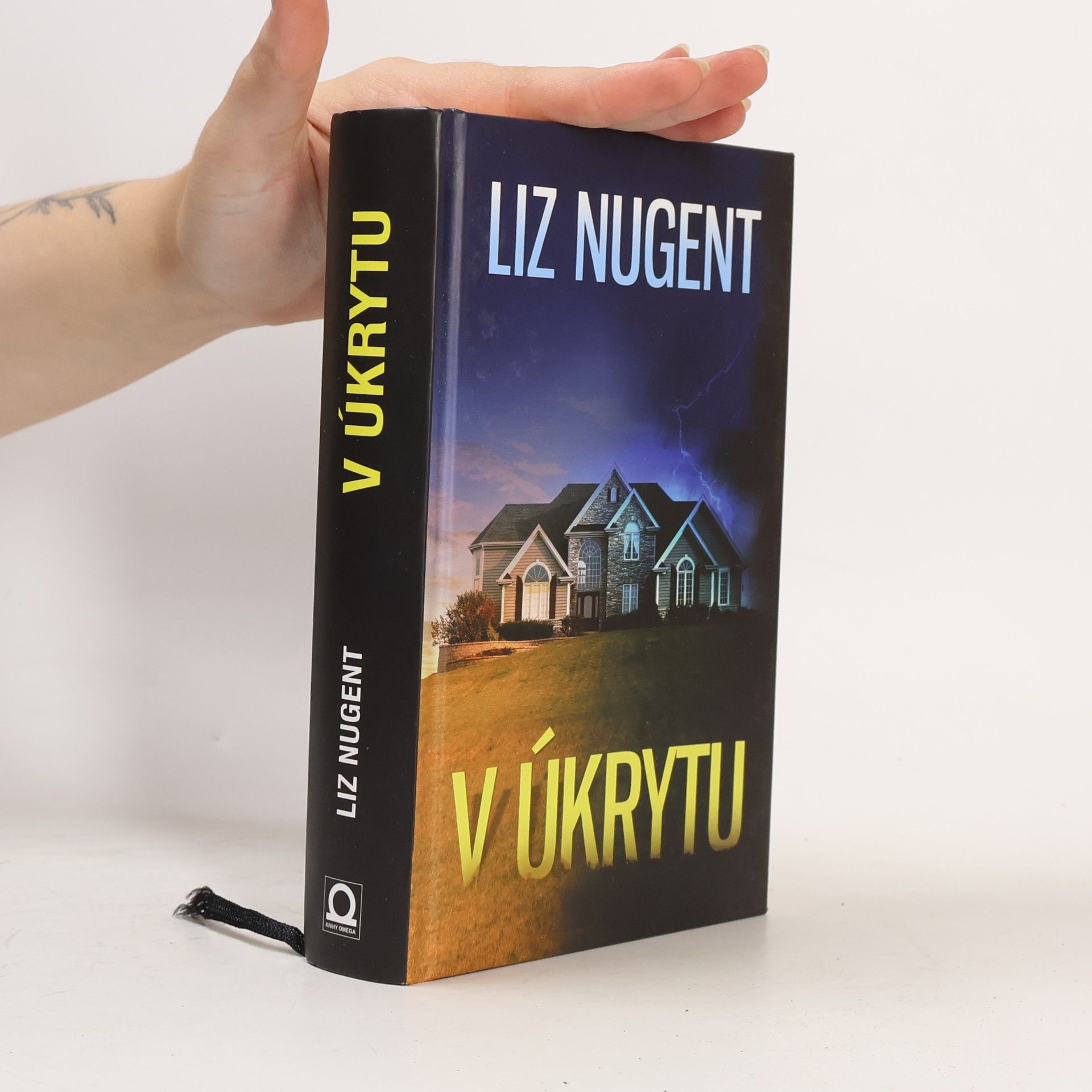 Liz Nugent V úkrytu