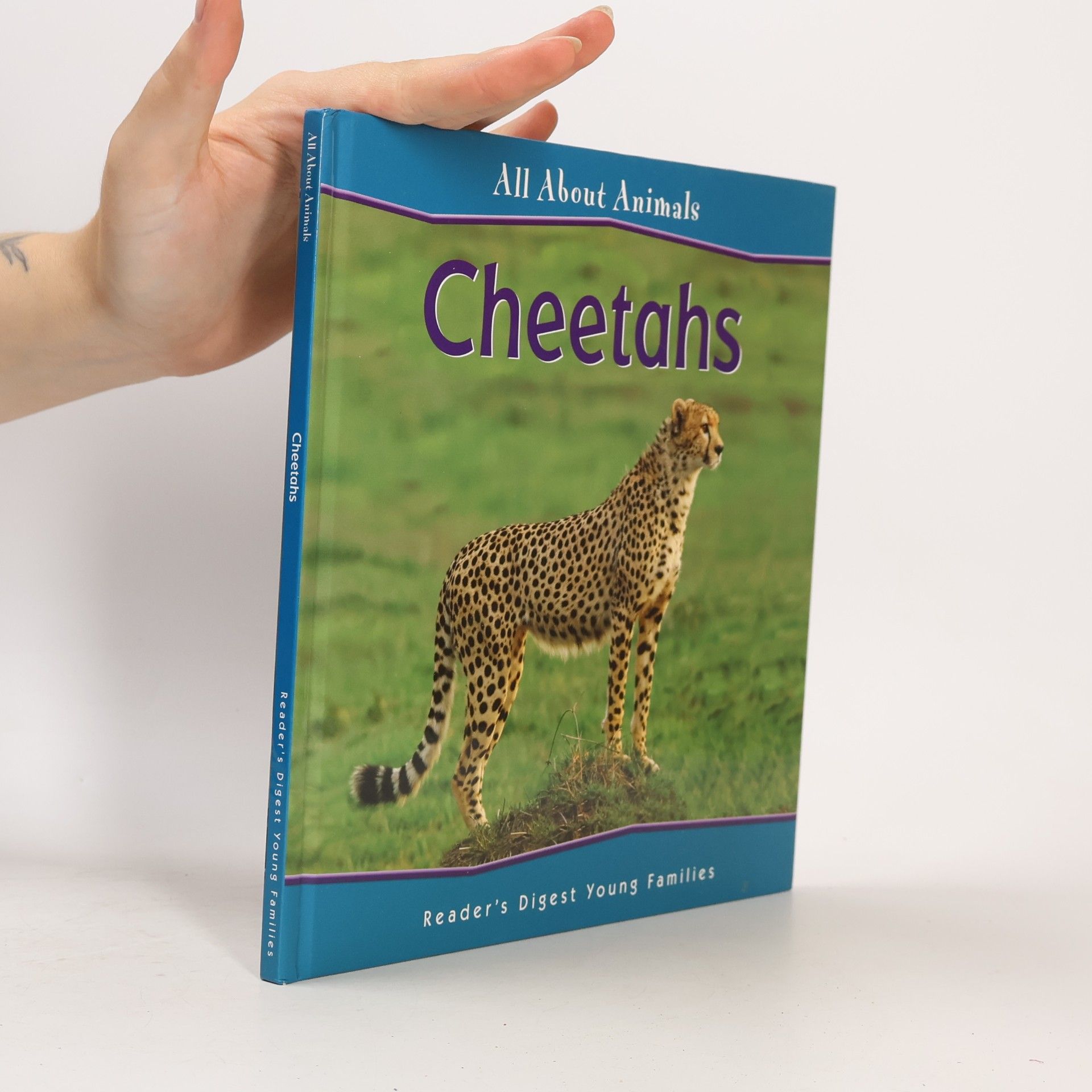 All About Animals: Cheetahs