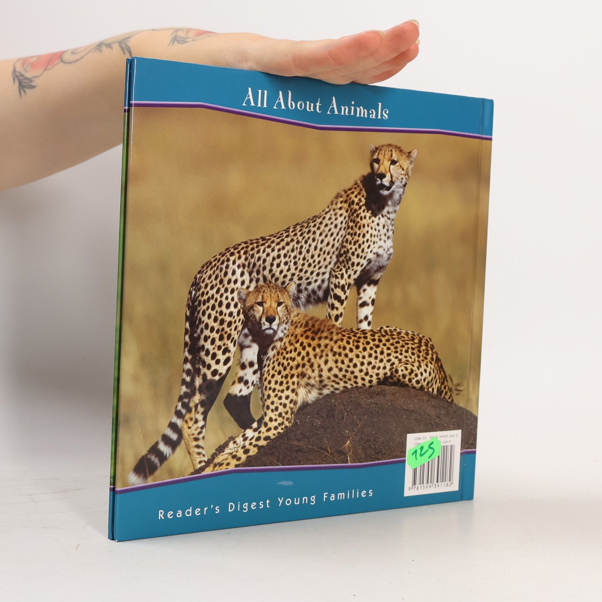 Kate Delaney All About Animals: Cheetahs