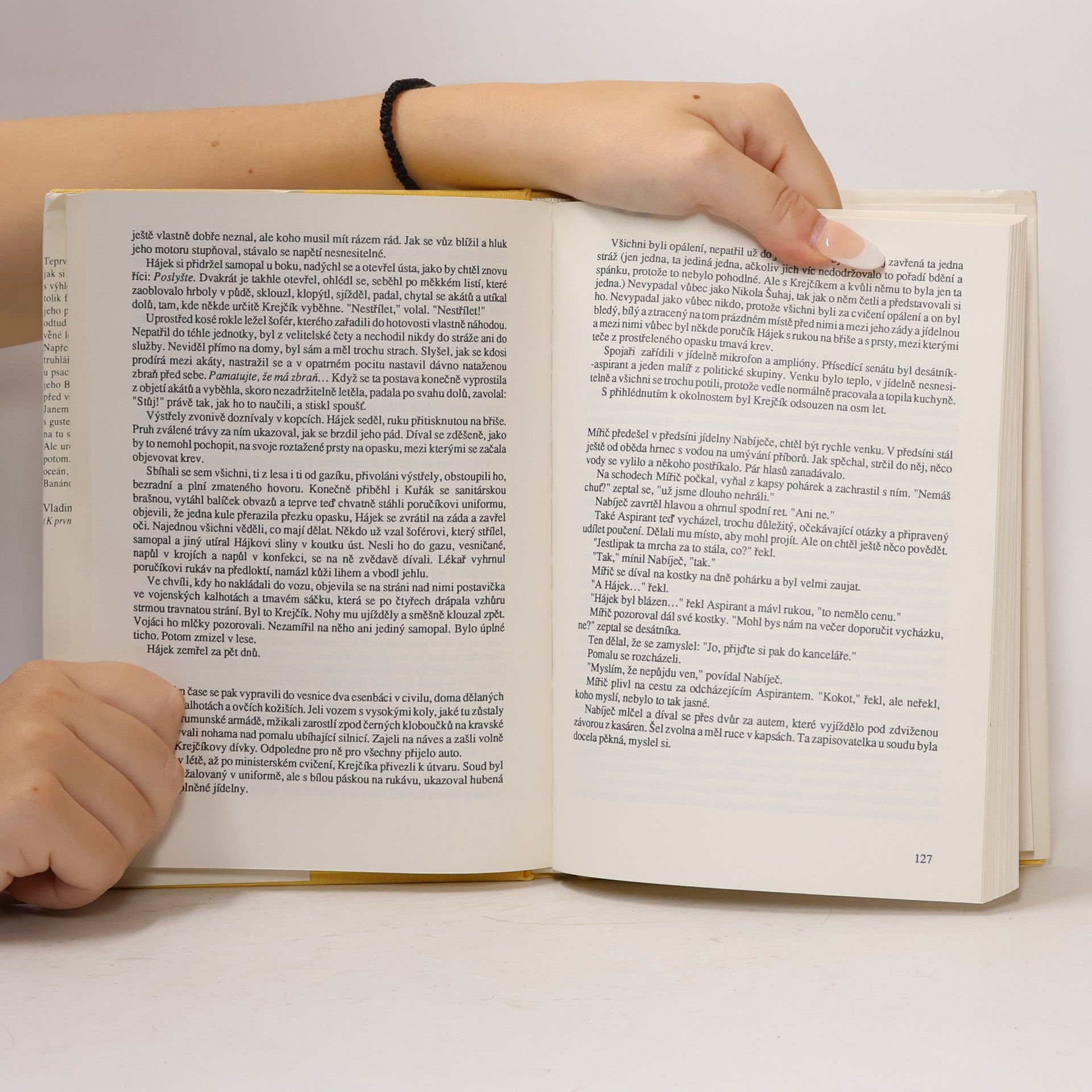 Radek Beneš Do vrabců jako když střelí. Banánové sny