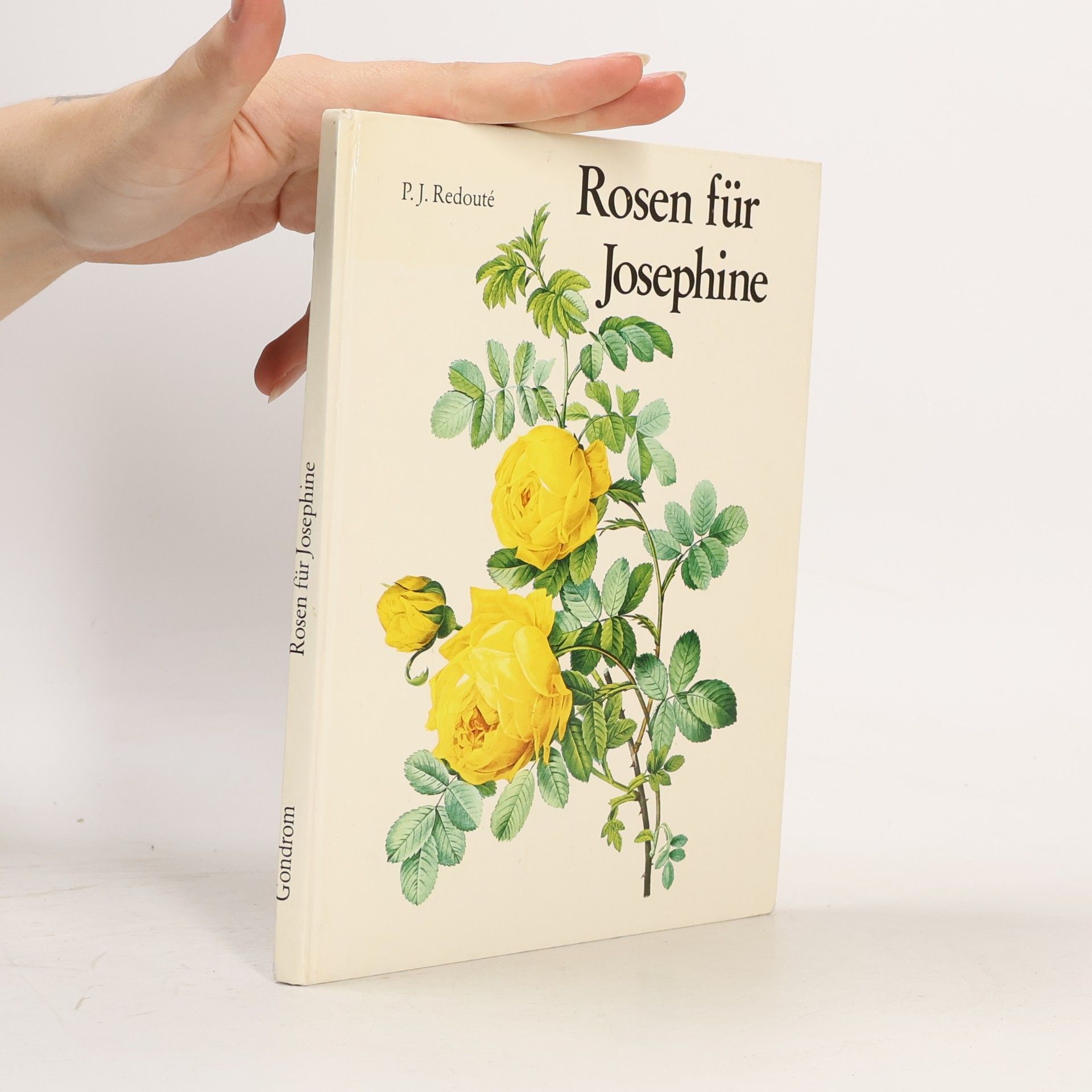 P. J. Redouté Rosen für Josephine