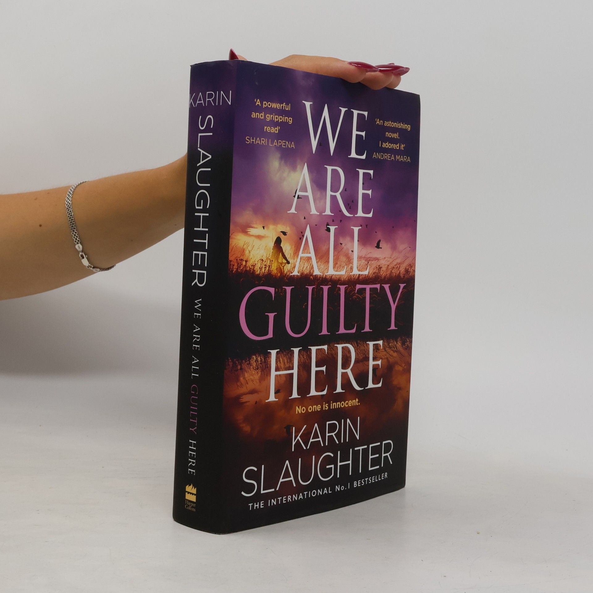 Karin Slaughter We Are All Guilty Here