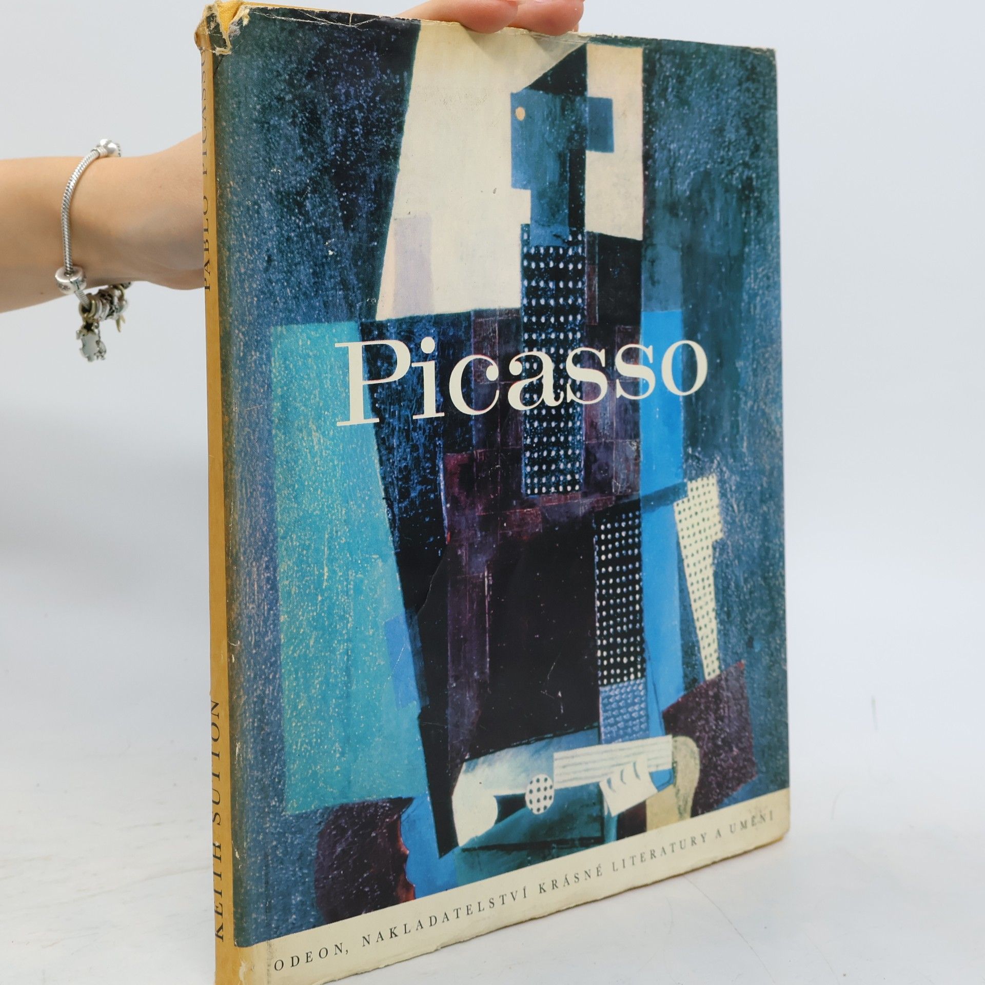 Jan Caha Pablo Picasso
