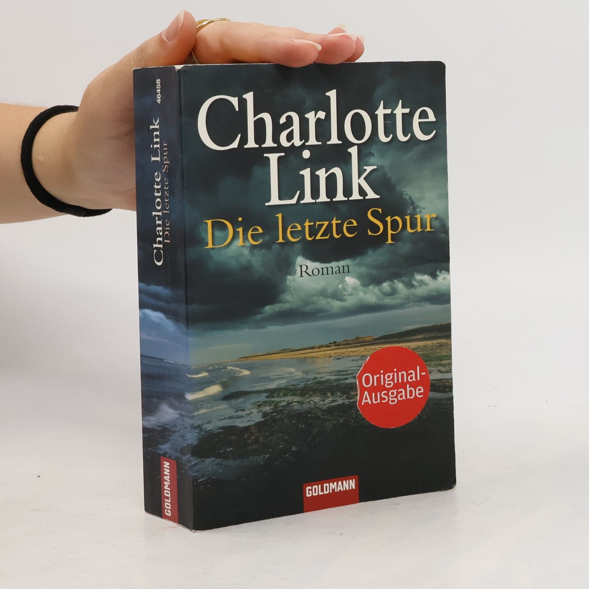 Charlotte Link Die letzte Spur