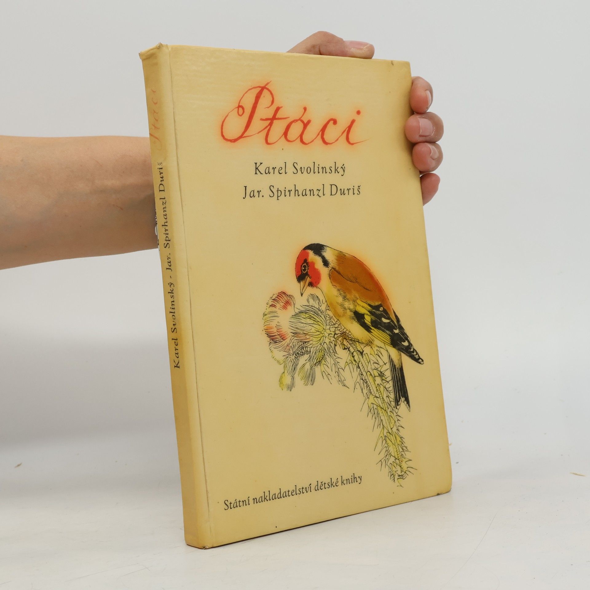 Ptáci